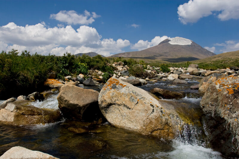 Mountain Stream in Mongolia — Mongolia, river, stream