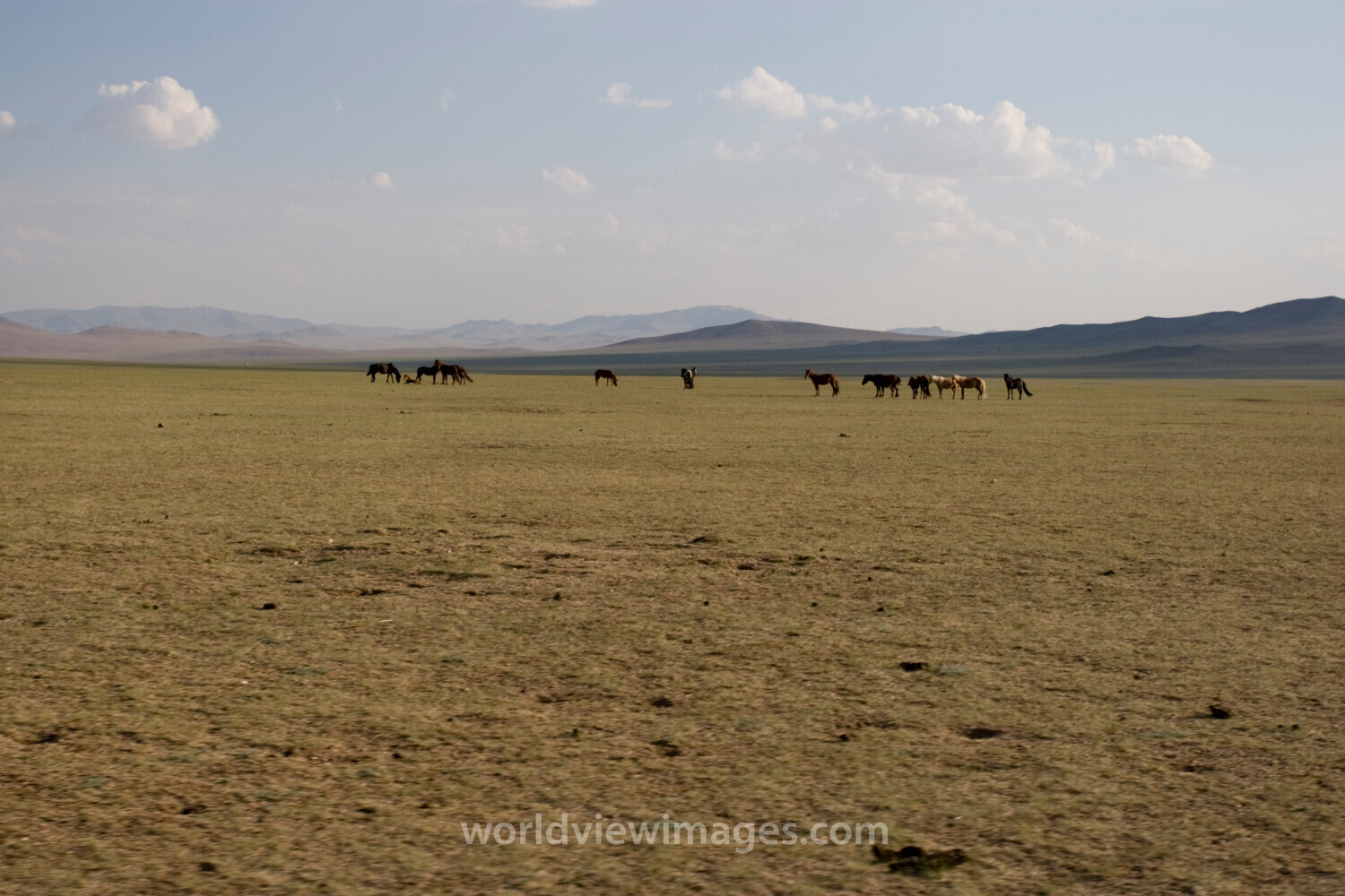 Steppes of Mongolia