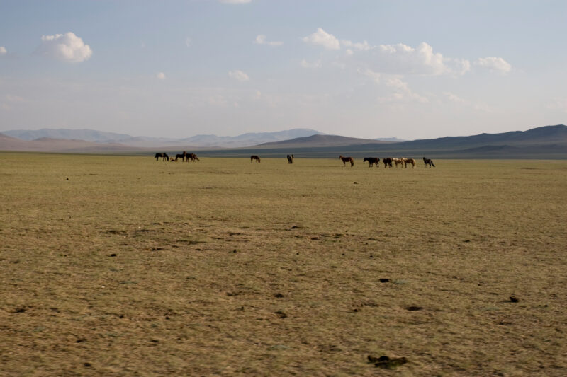 Steppes of Mongolia — Stock Images of life in Rural Mongolia, and the people who live there — Mongolia, steps, steppes