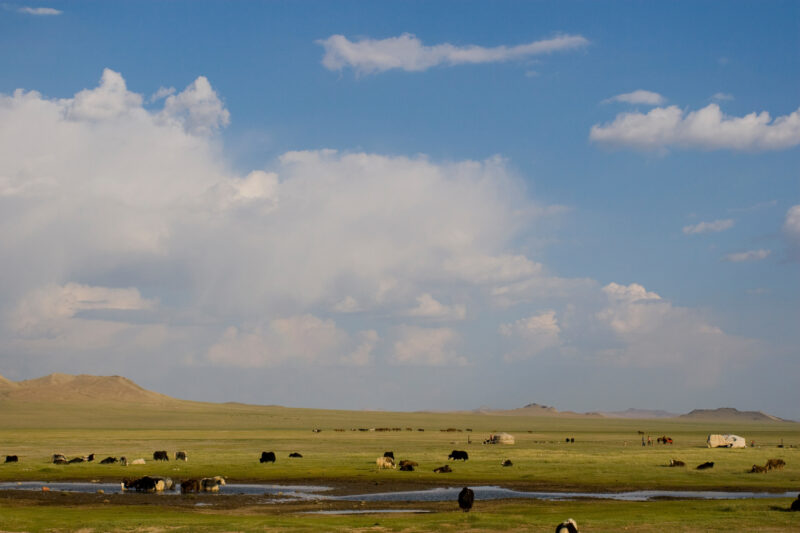 Steppes of Mongolia — Stock Images of life in Rural Mongolia, and the people who live there — Mongolia, steps, steppes
