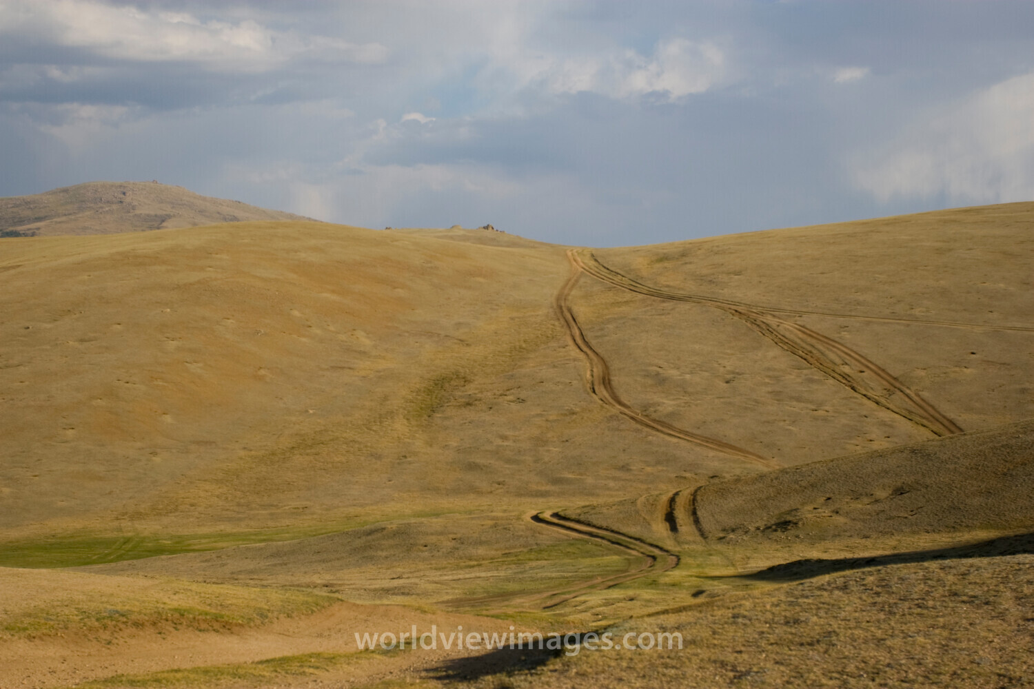 Steppes of Mongolia