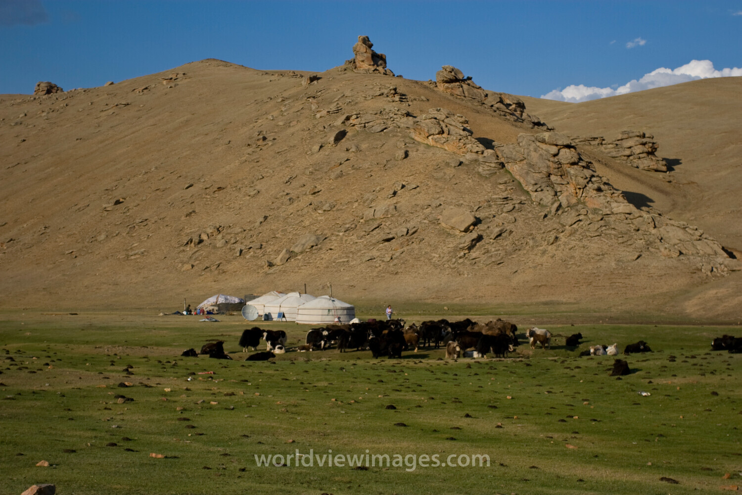 Steppes of Mongolia