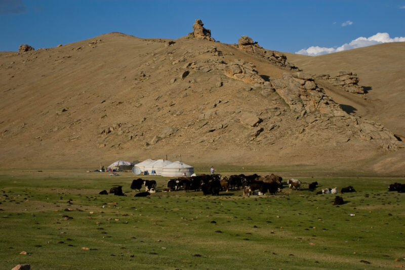 Steppes of Mongolia — Mongolia, Steps, steppes, pasture, hills