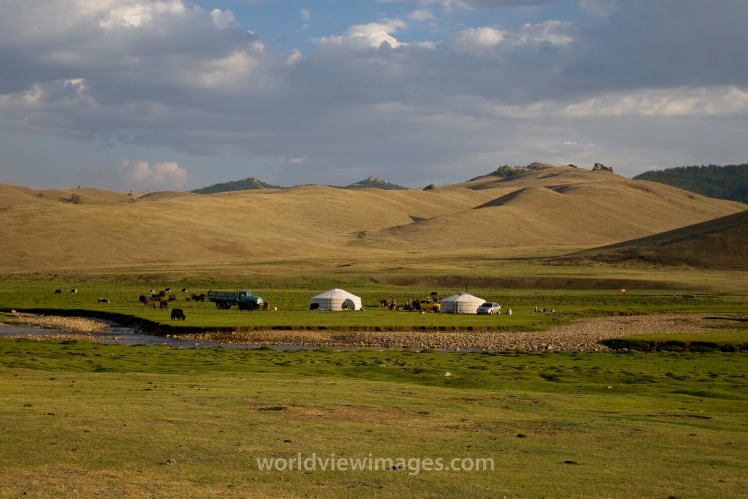 Steppes of Mongolia