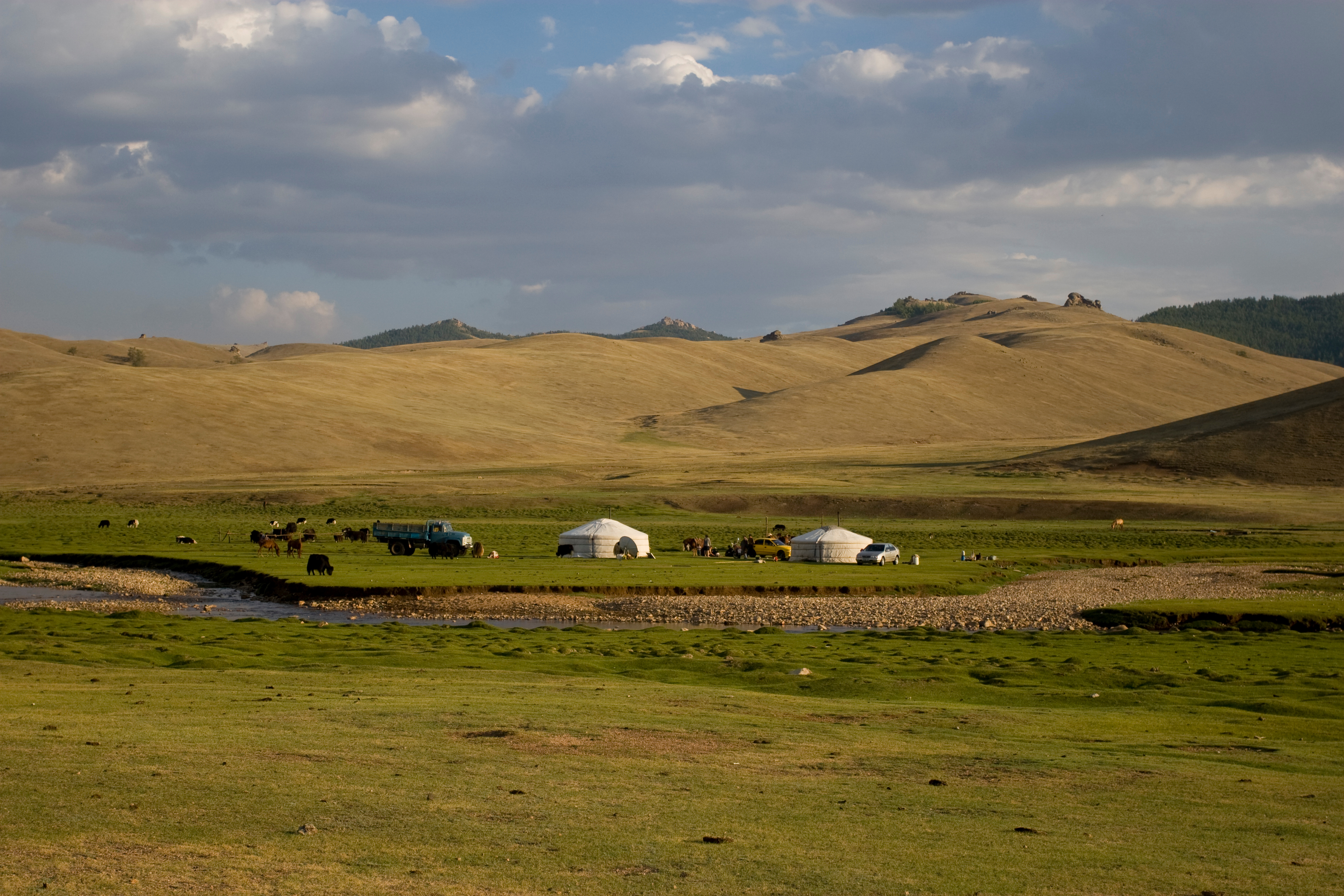 Steppes of Mongolia