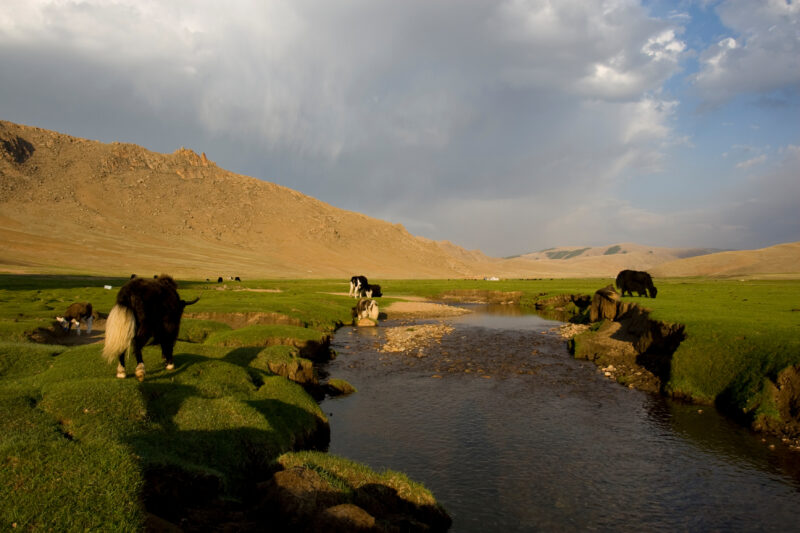 Steppes of Mongolia — Mongolia, Steps, steppes, pasture, hills