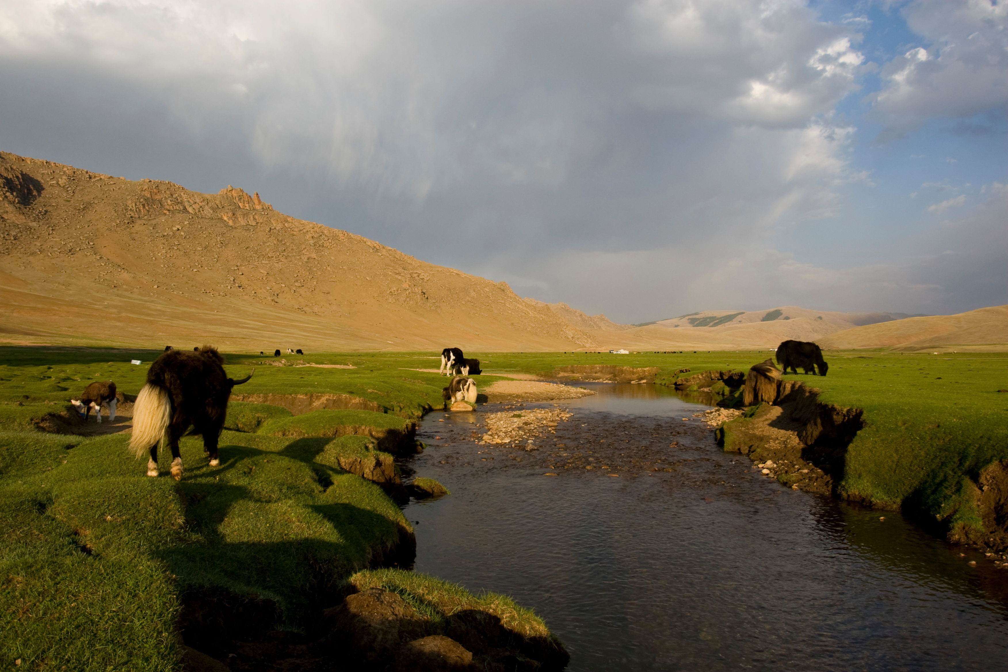 Steppes of Mongolia
