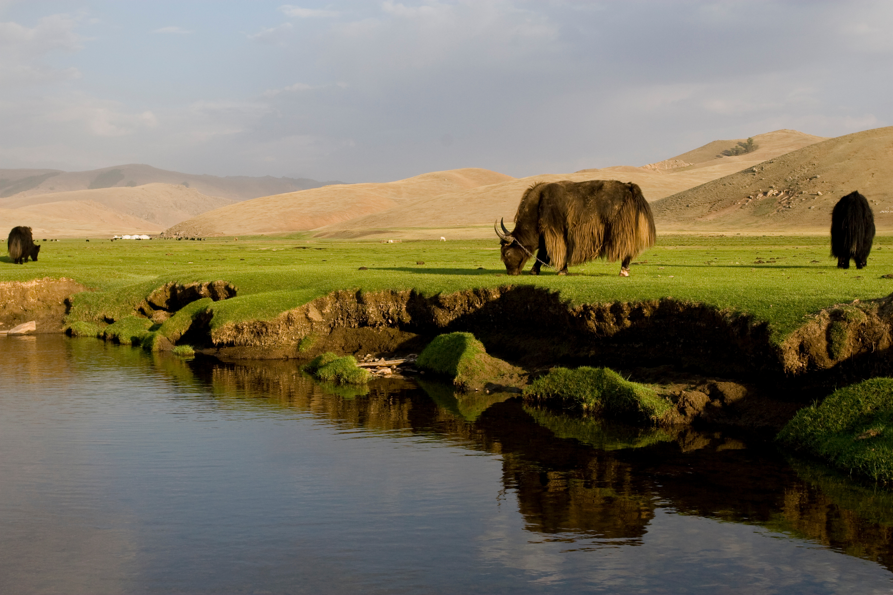 Steppes of Mongolia