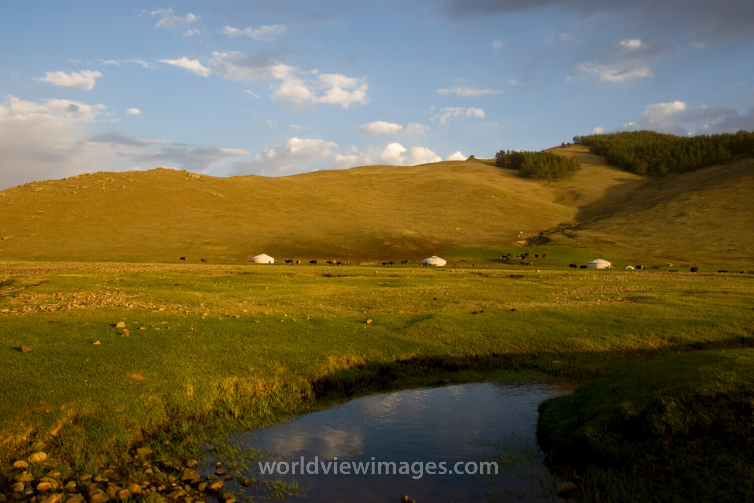 Steppes of Mongolia
