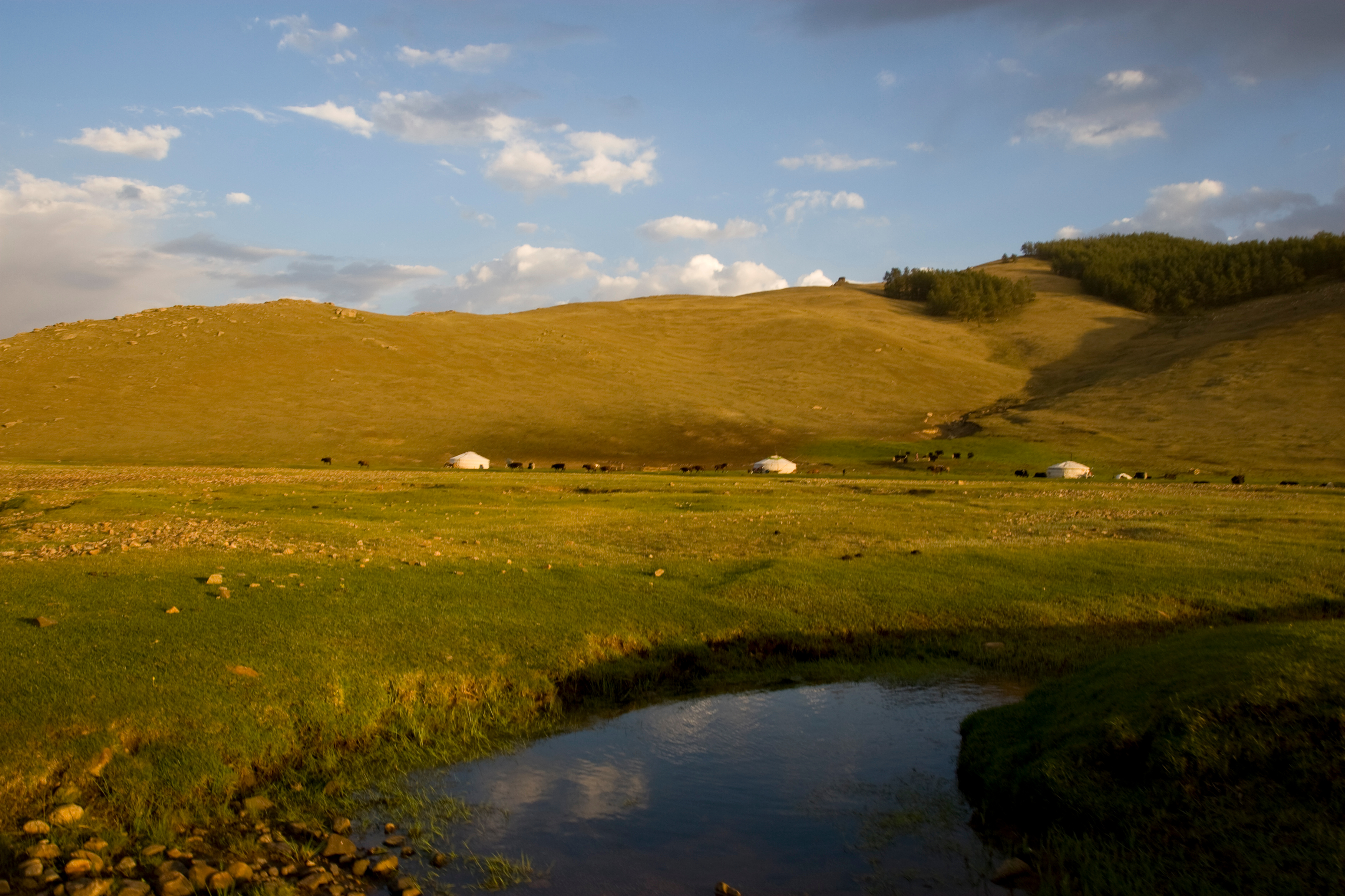 Steppes of Mongolia