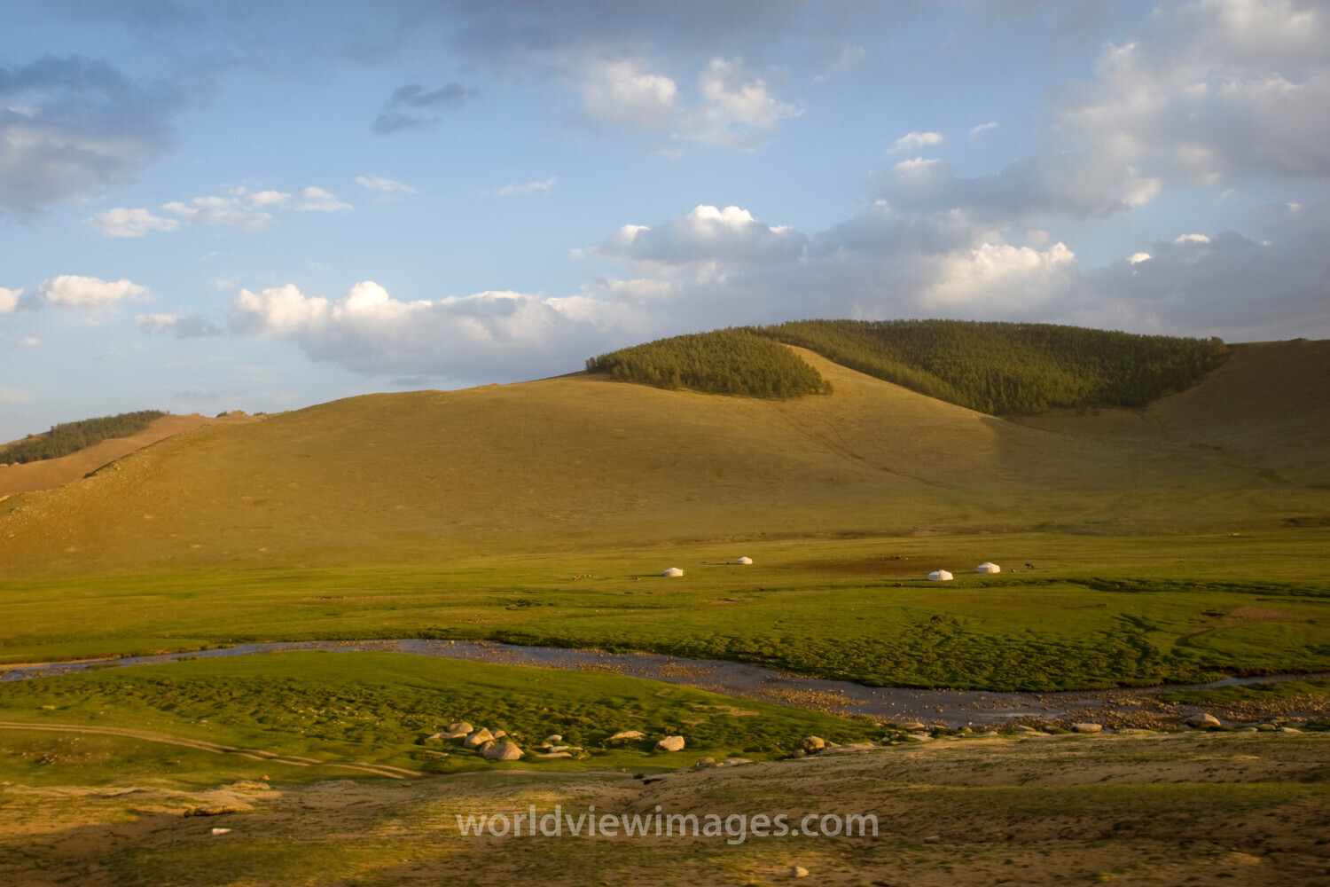 Steppes of Mongolia