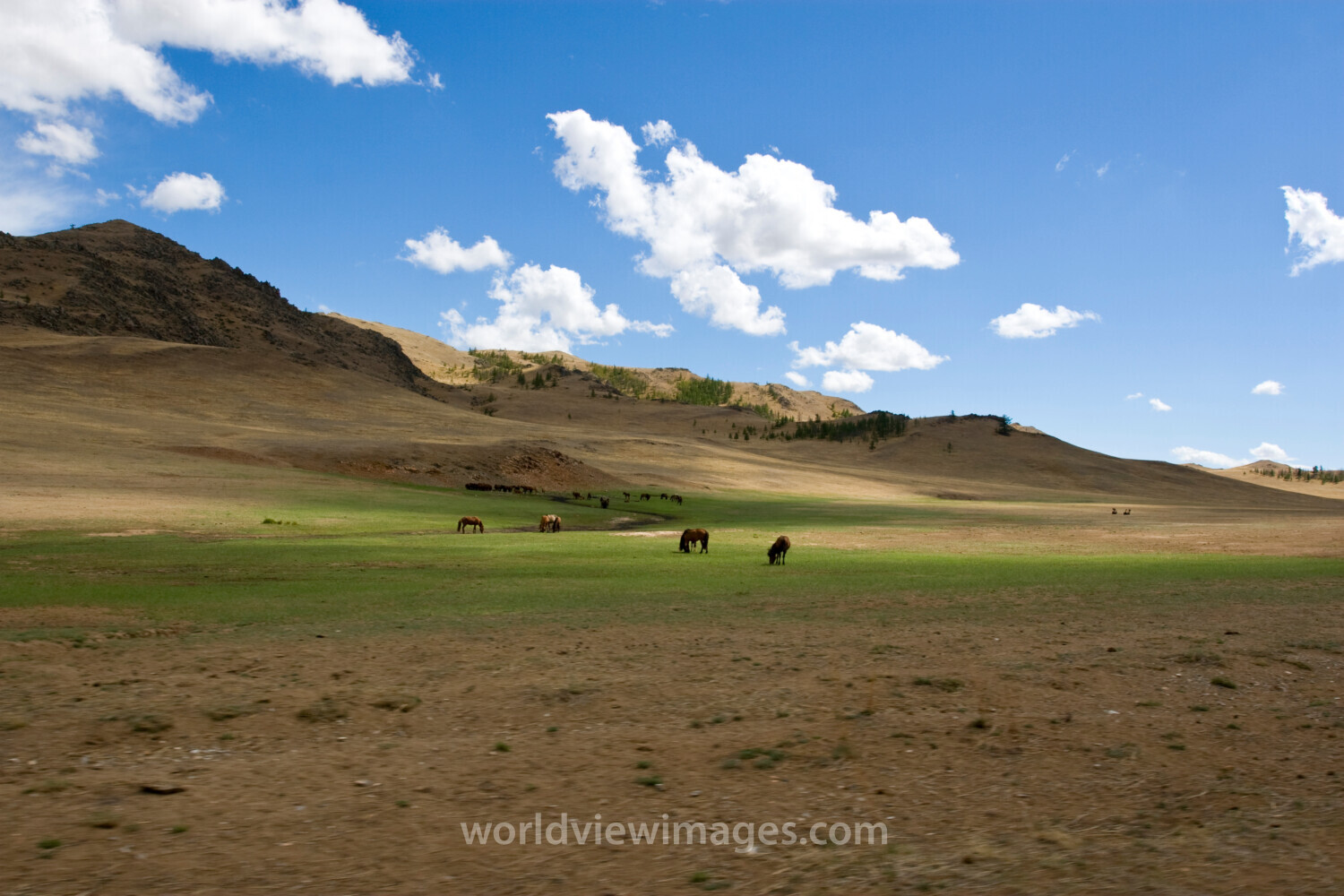 Steppes of Mongolia