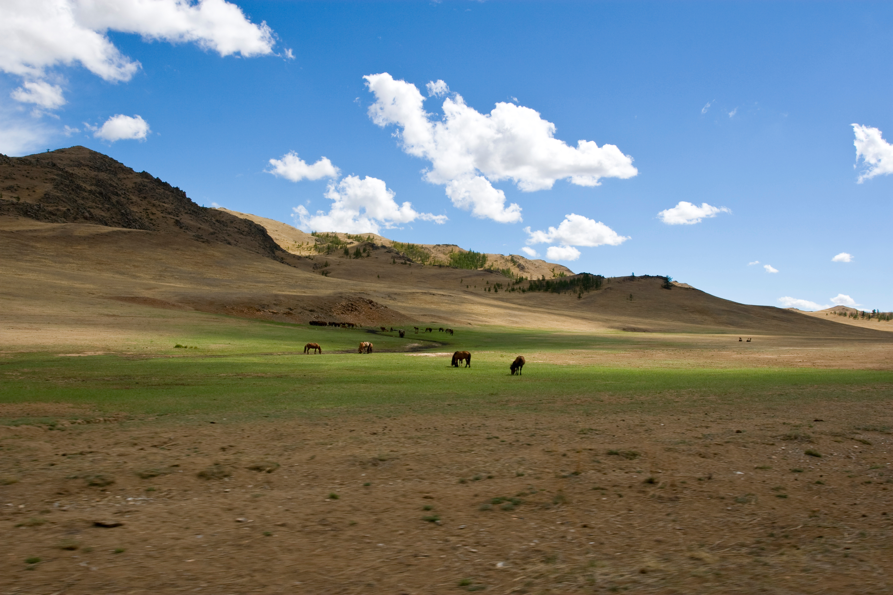 Steppes of Mongolia