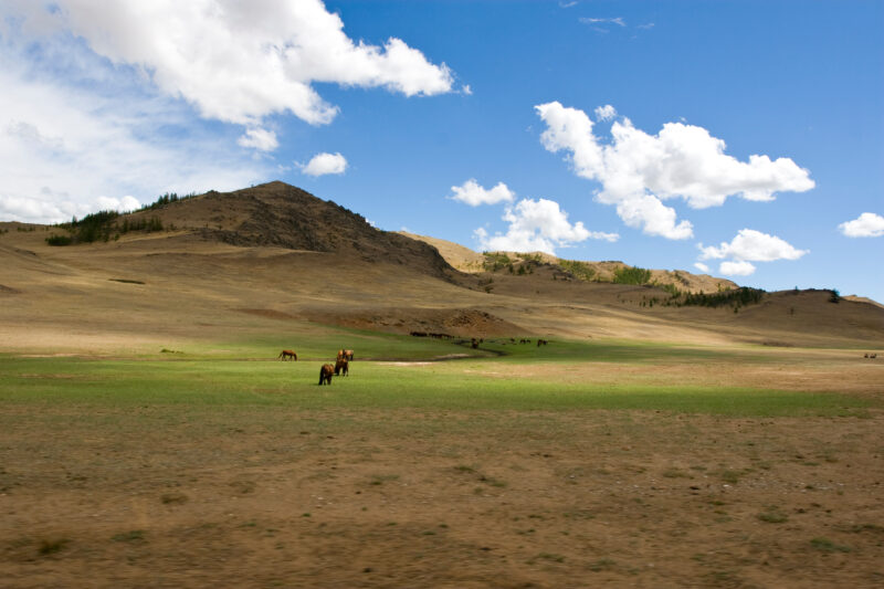 Steppes of Mongolia — Mongolia, Steps, steppes, pasture, hills