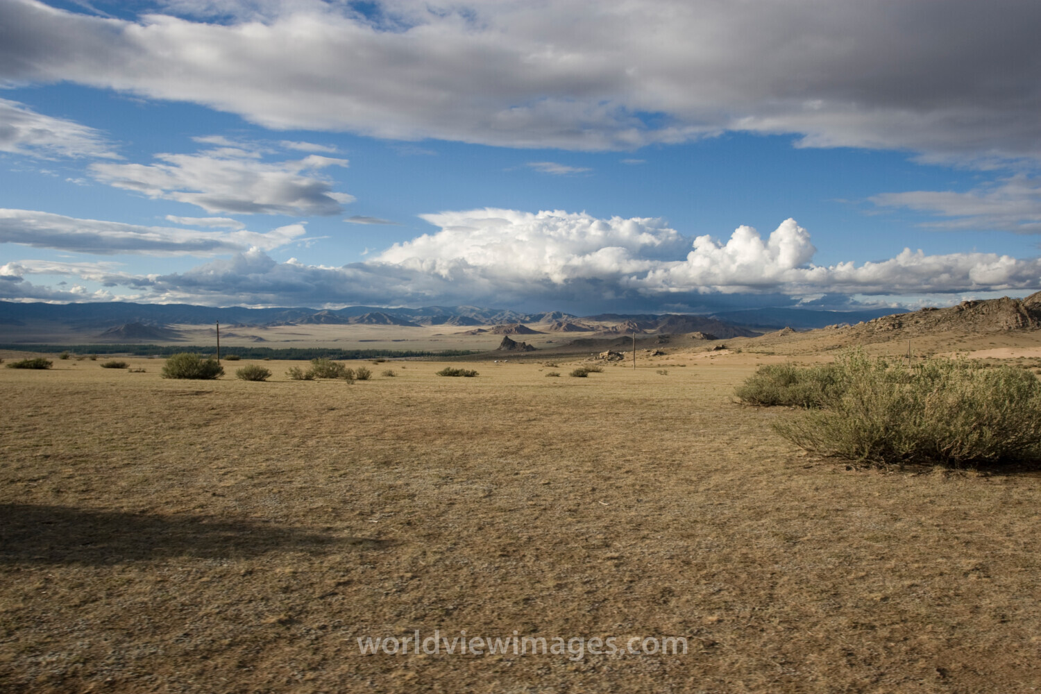 Steppes of Mongolia