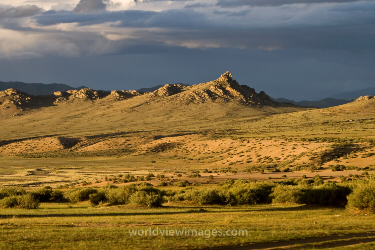 Steppes of Mongolia