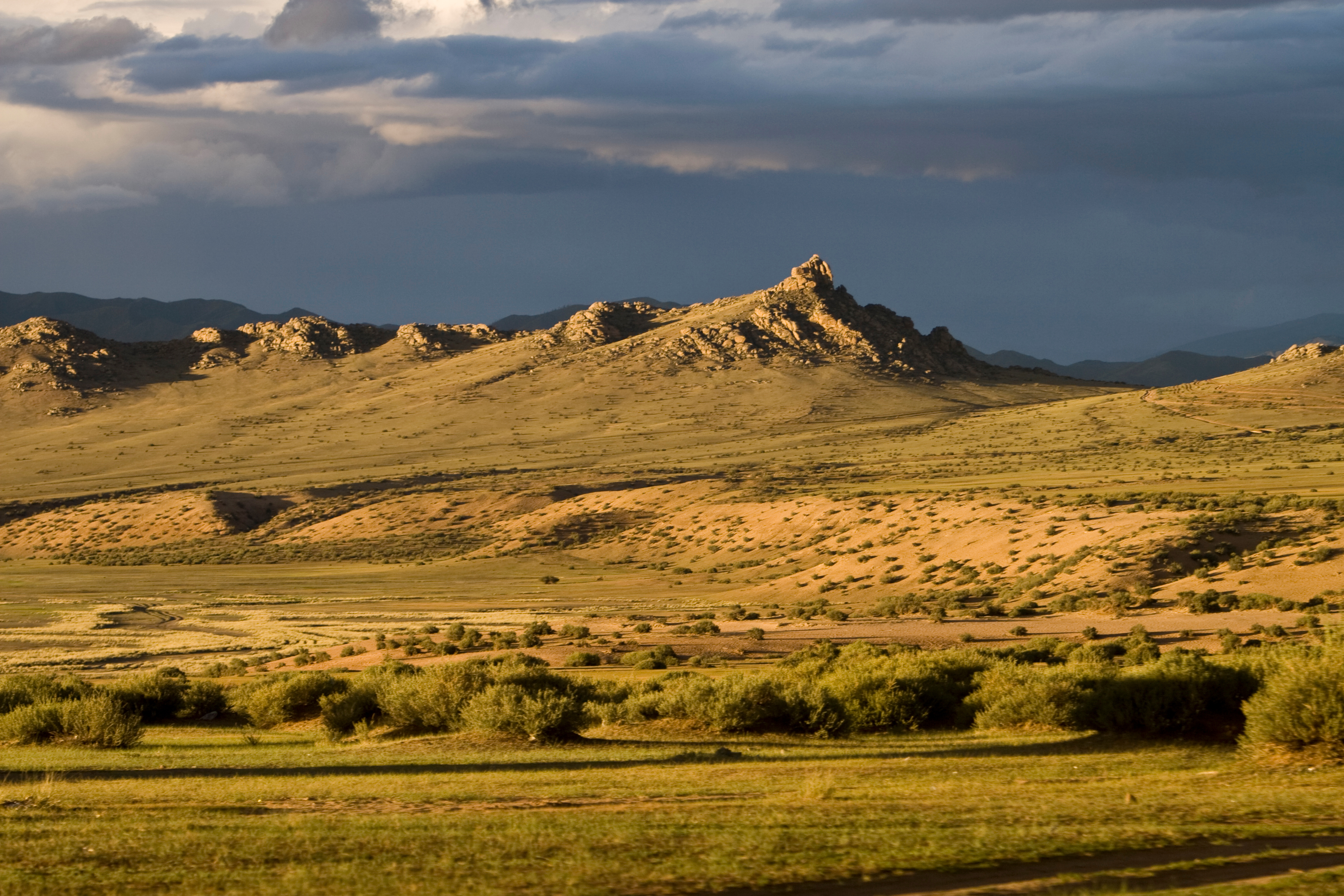 Steppes of Mongolia