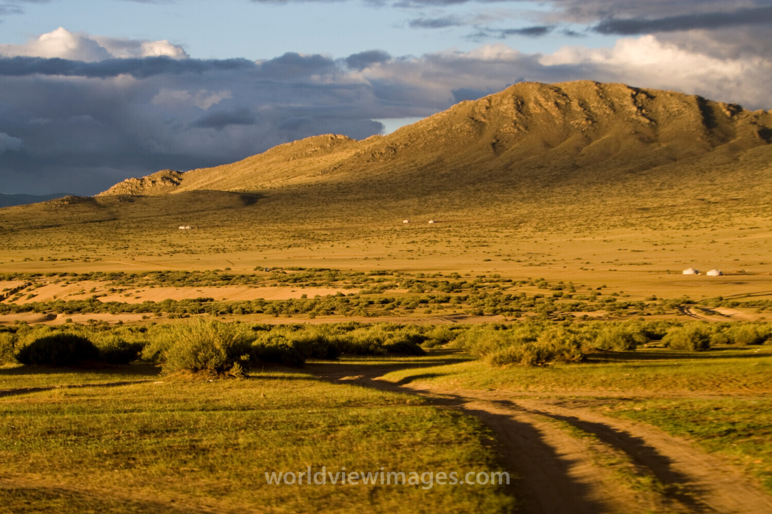 Steppes of Mongolia