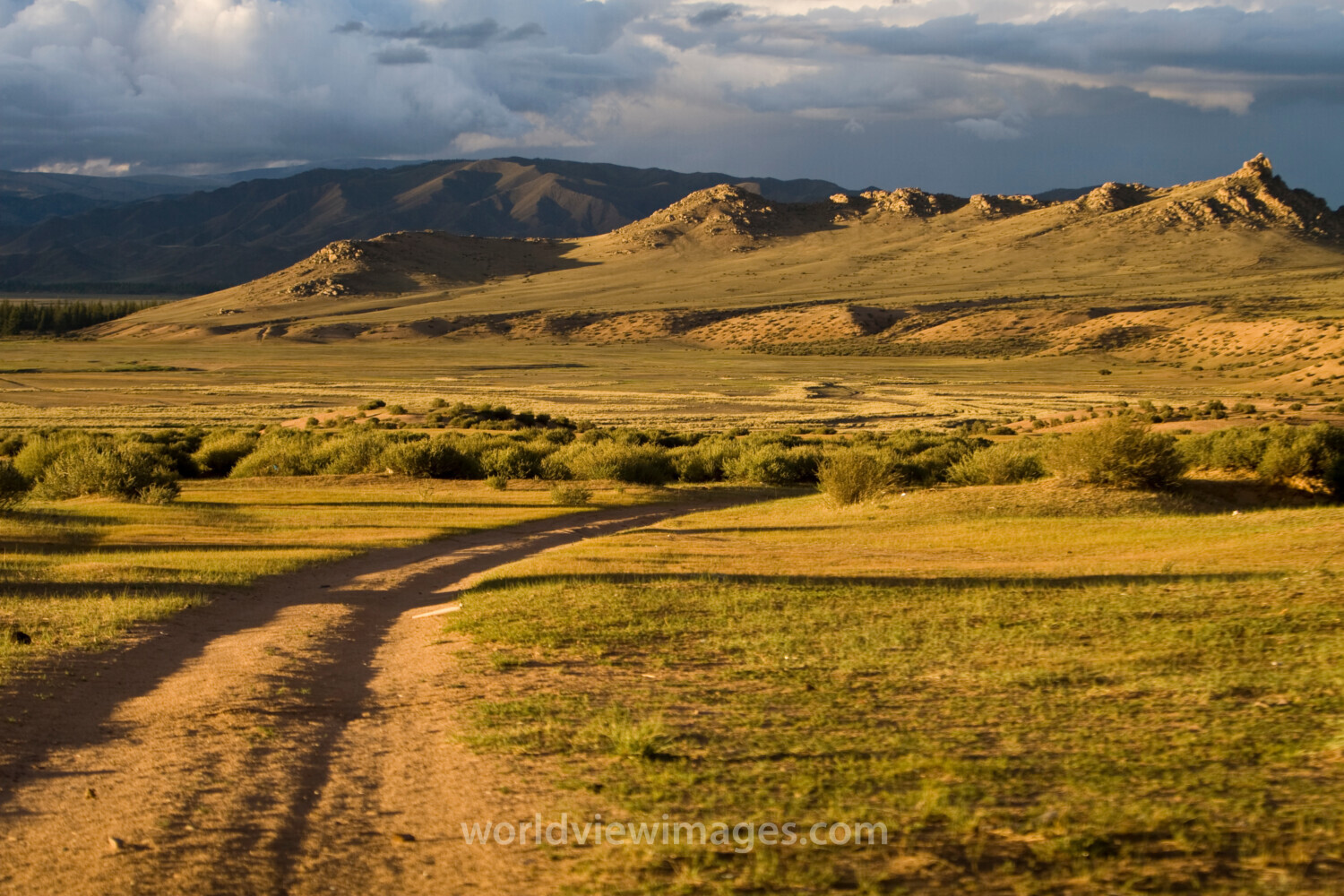Steppes of Mongolia