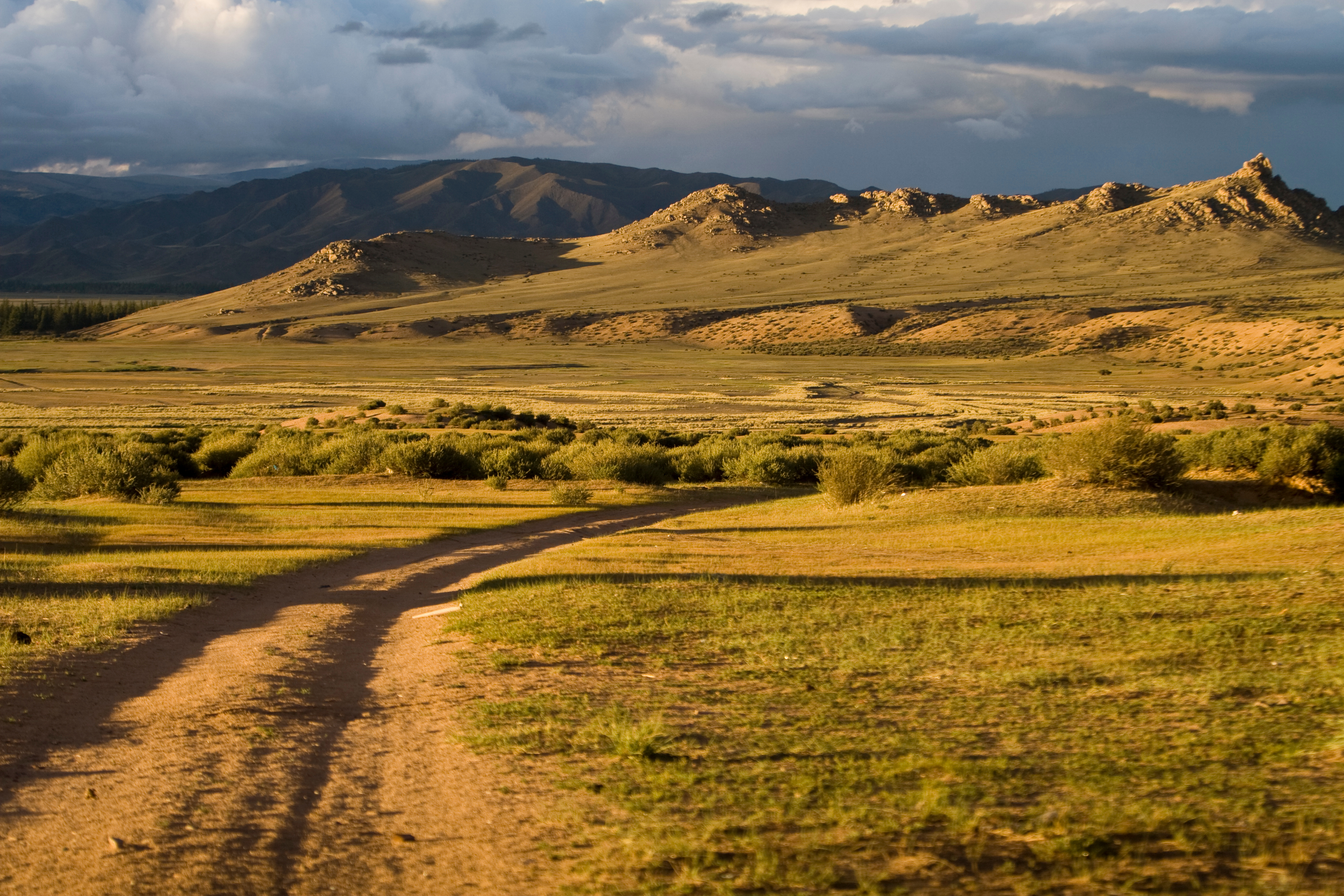 Steppes of Mongolia