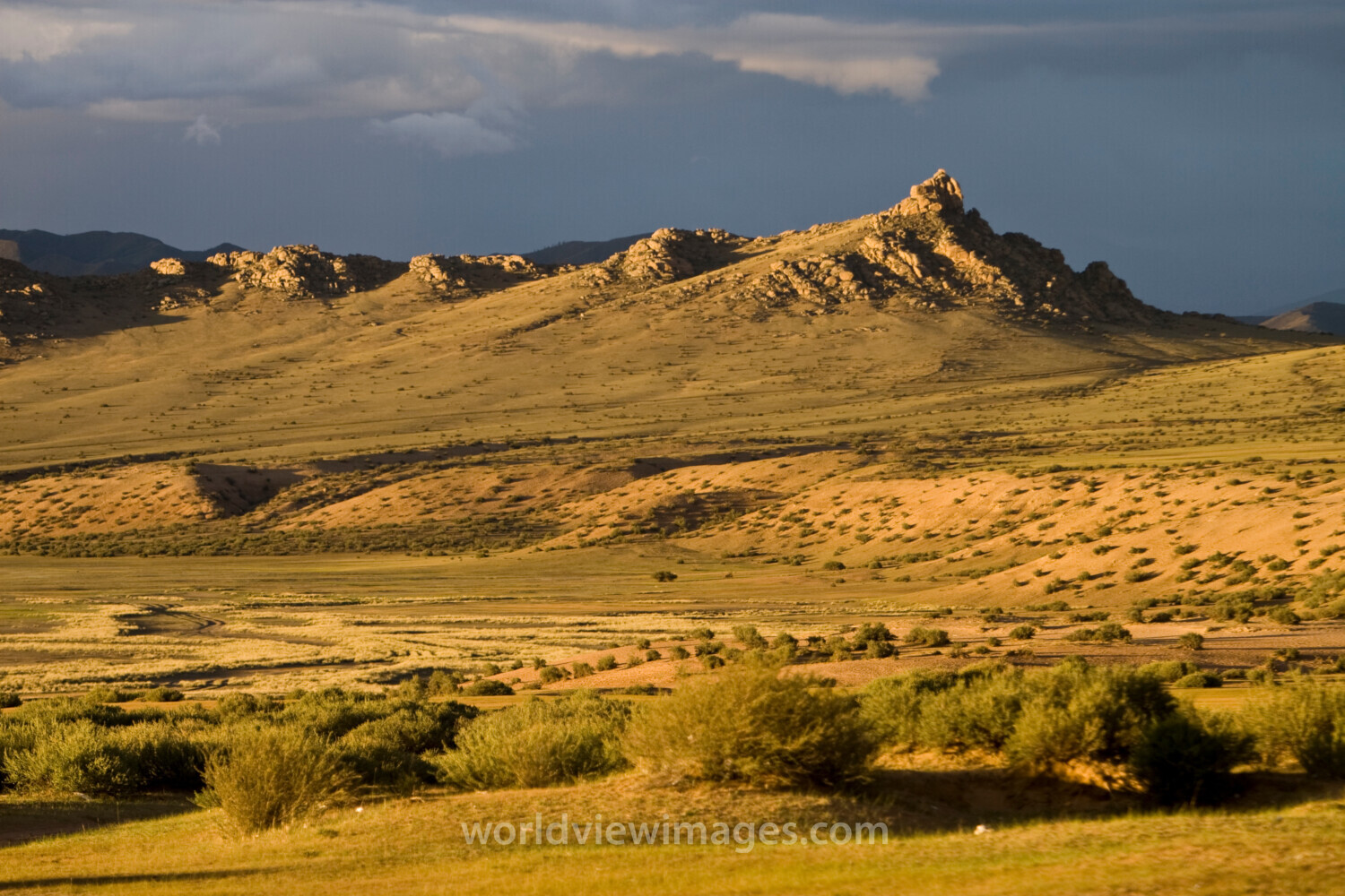 Steppes of Mongolia