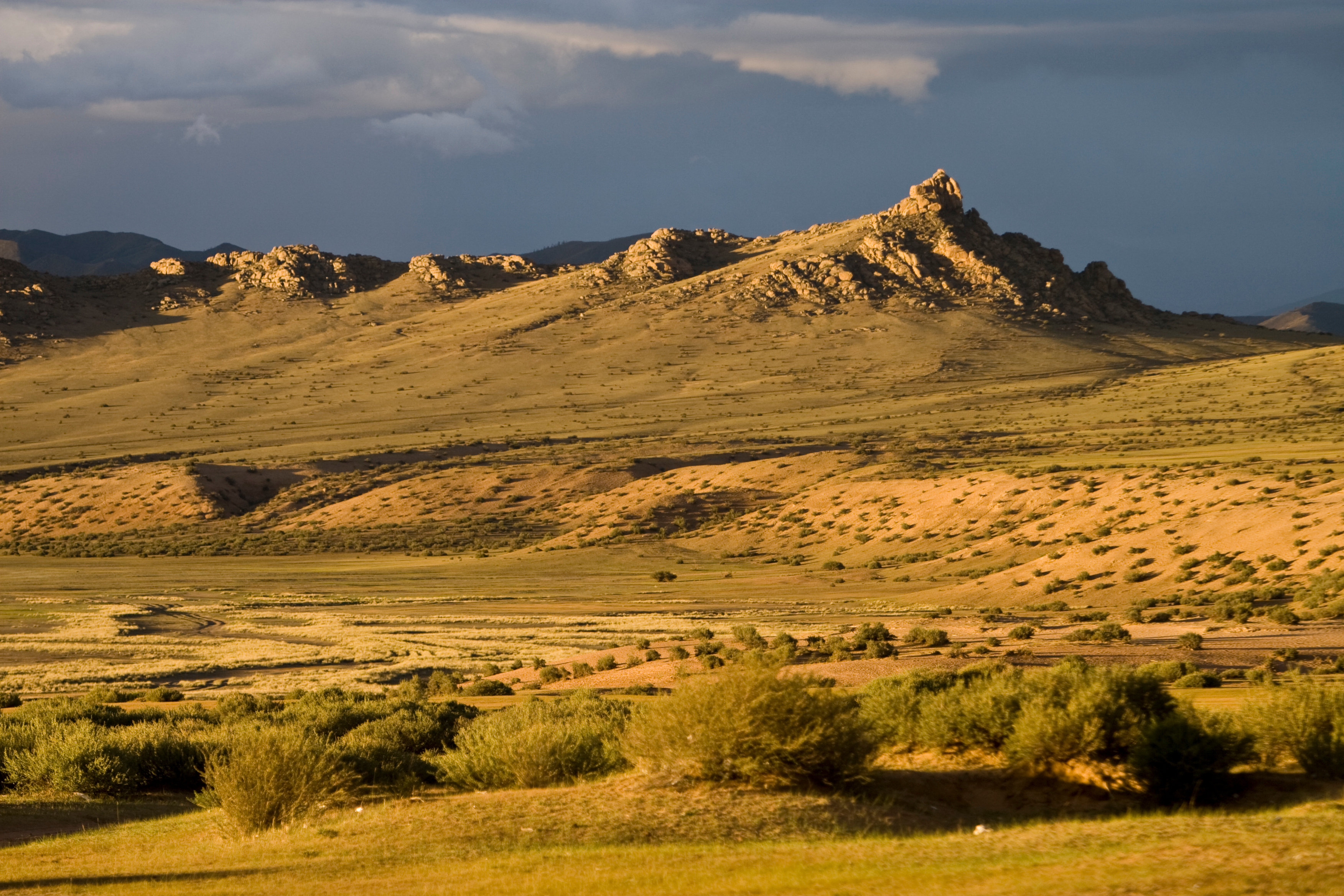 Steppes of Mongolia
