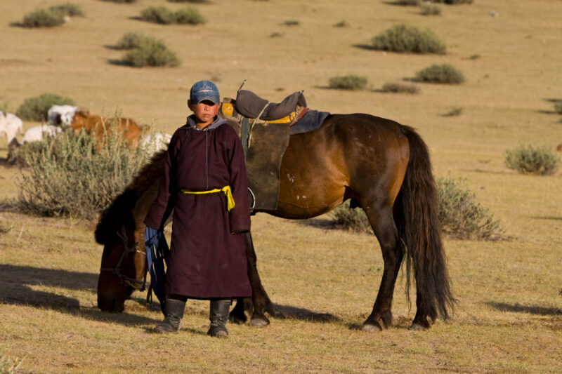 Herding Sheep and Goats in Mongolia — Stock Image of young man herding sheep and goats on horseback on the Steppes of Mongolia — Mongolia, sheep, goats, herd...