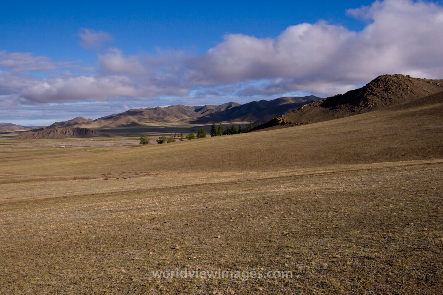 Steppes of Mongolia