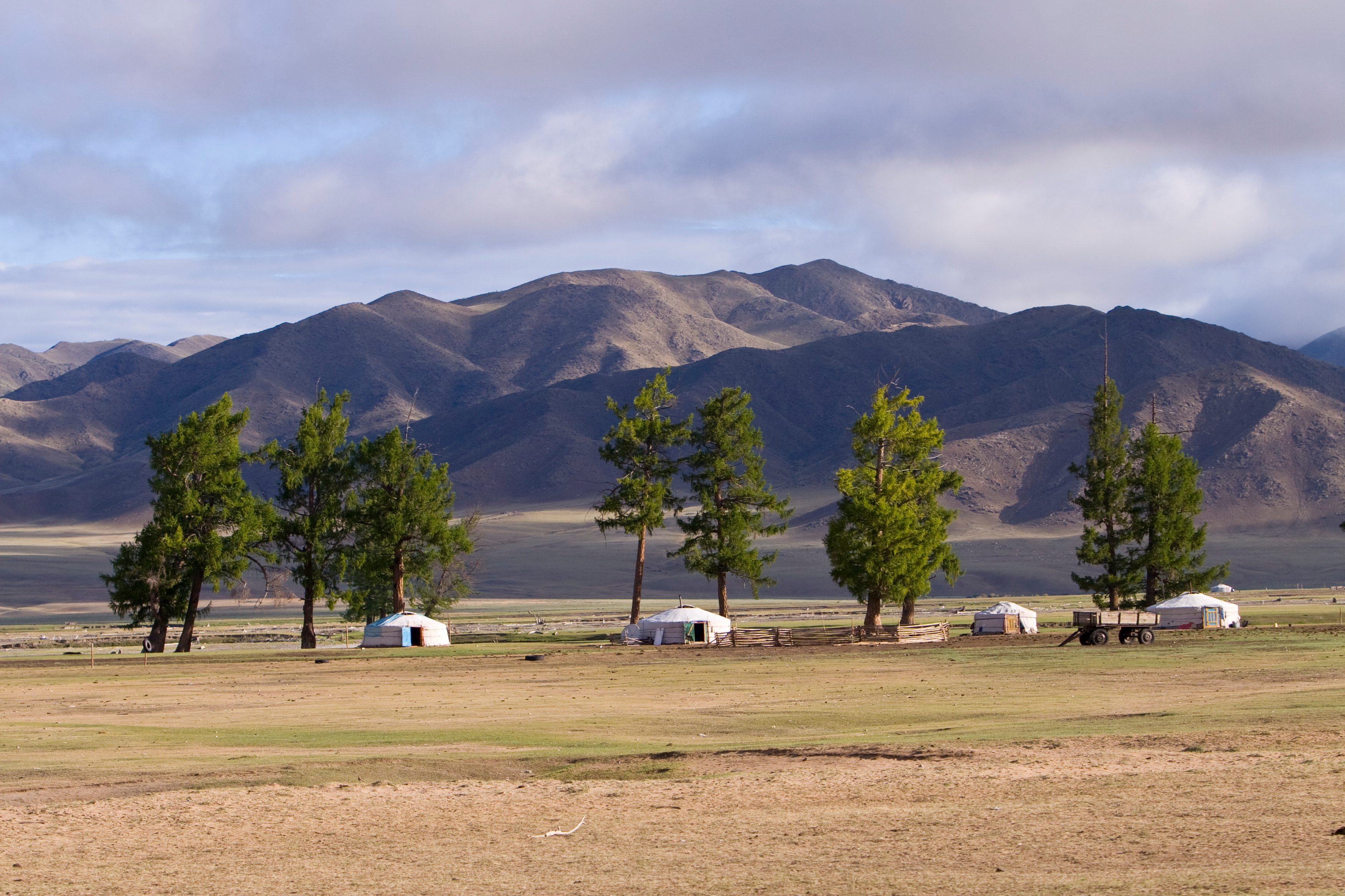 Steppes of Mongolia