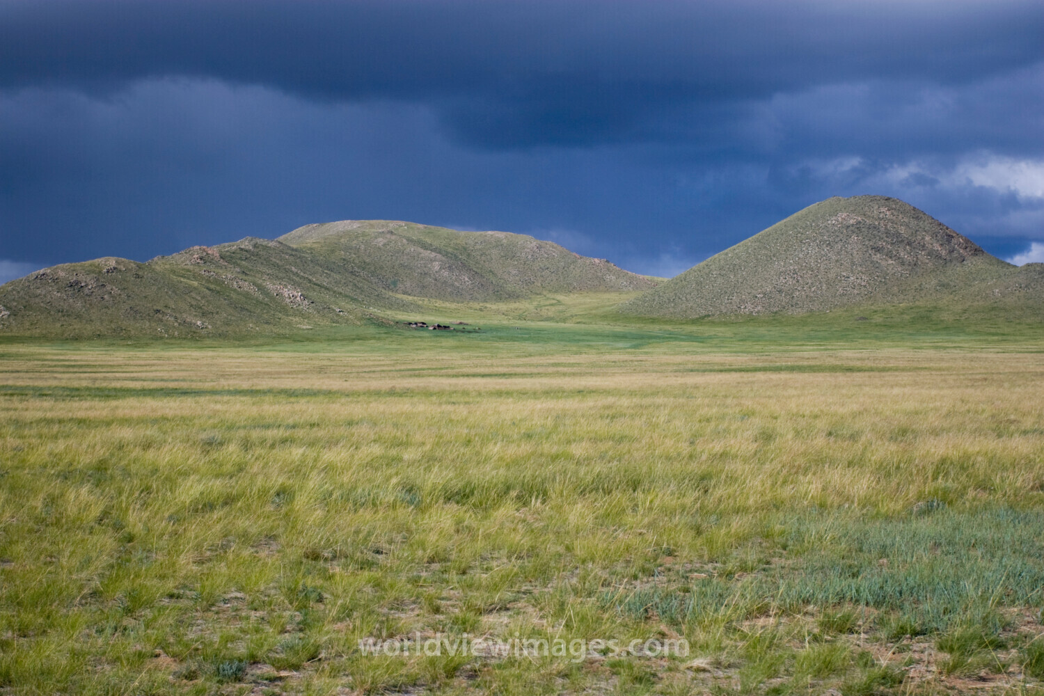 Steppes of Mongolia