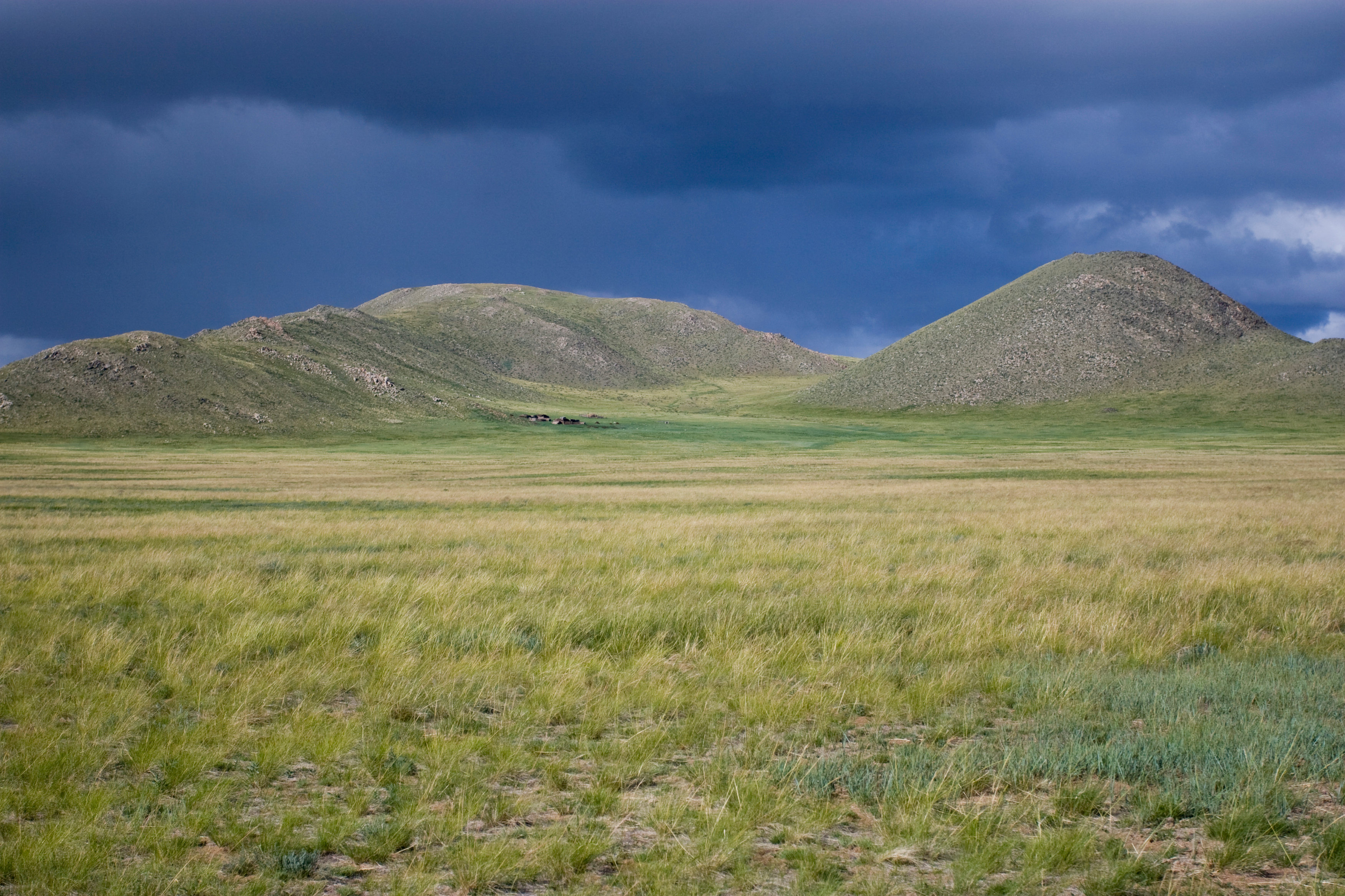Steppes of Mongolia