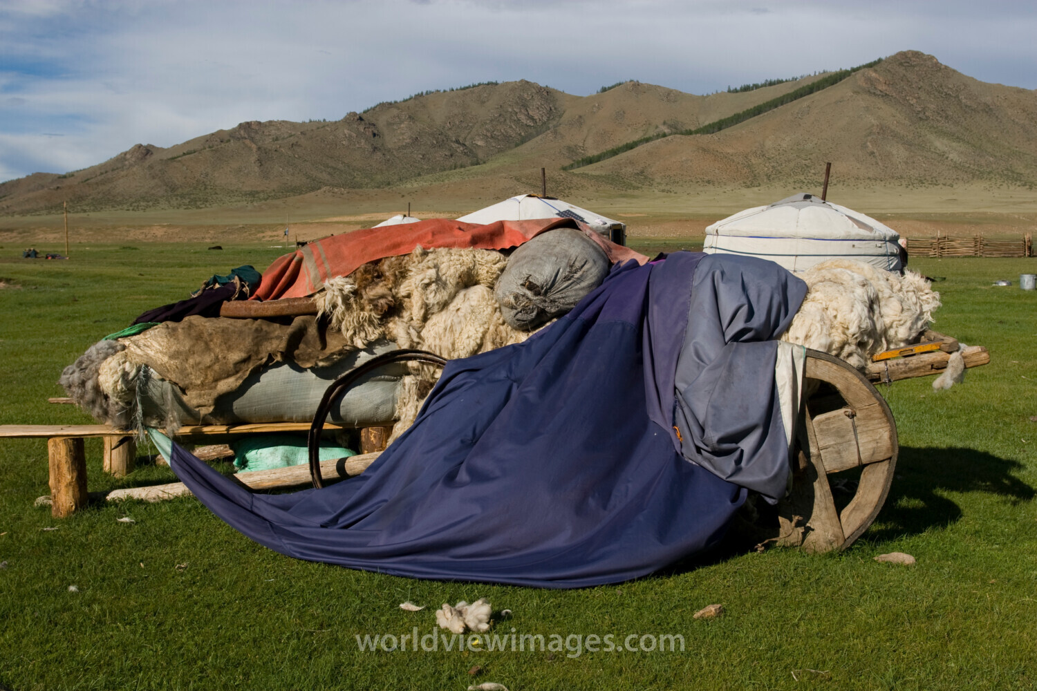 Cart in Mongolia