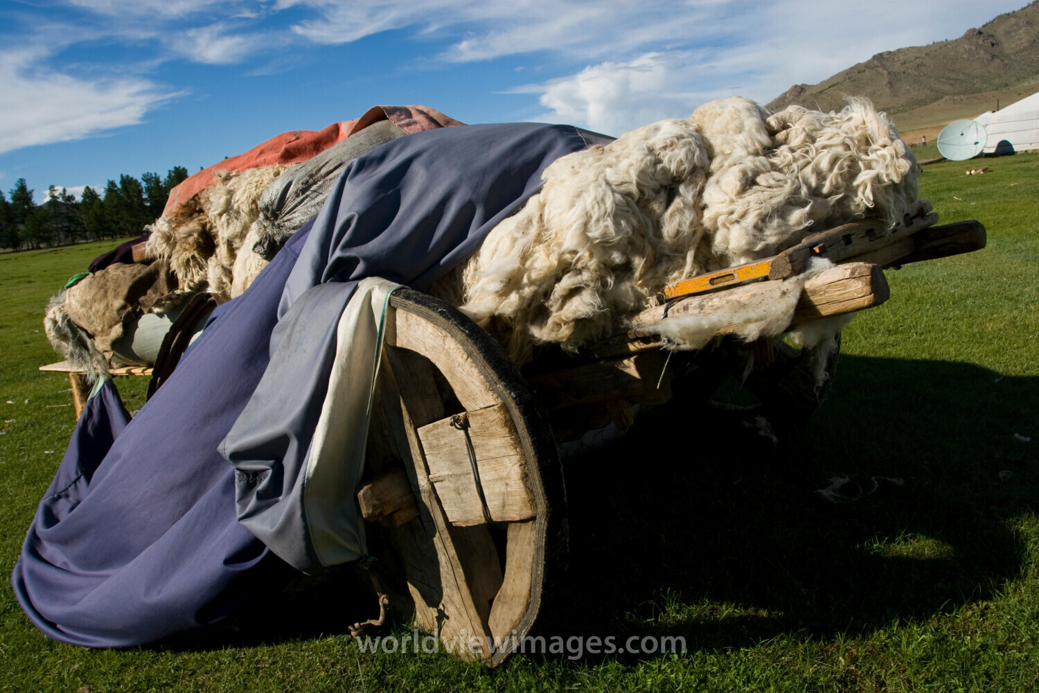 Wool Cart in Mongolia