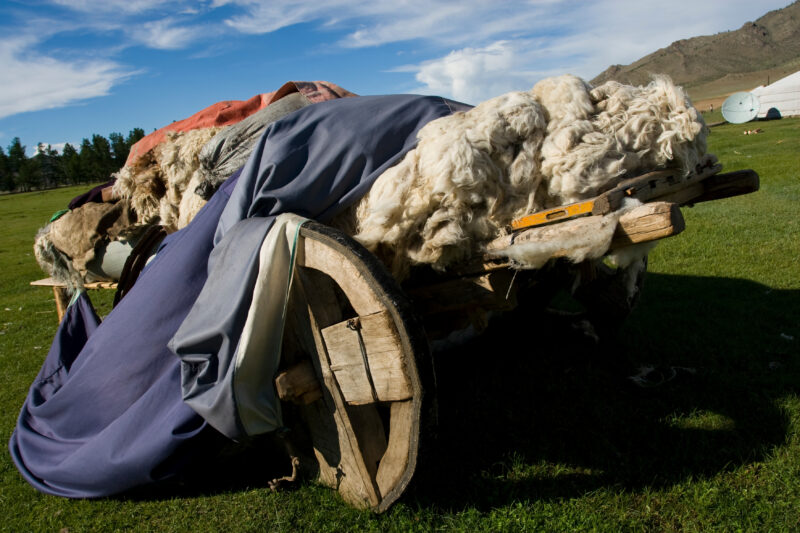 Wool Cart in Mongolia — Wooden cart full of wool in Mongolia, waits for the wool merchant to stop by and offer price for wool. — Mongolia, cart, wool, ger, gers