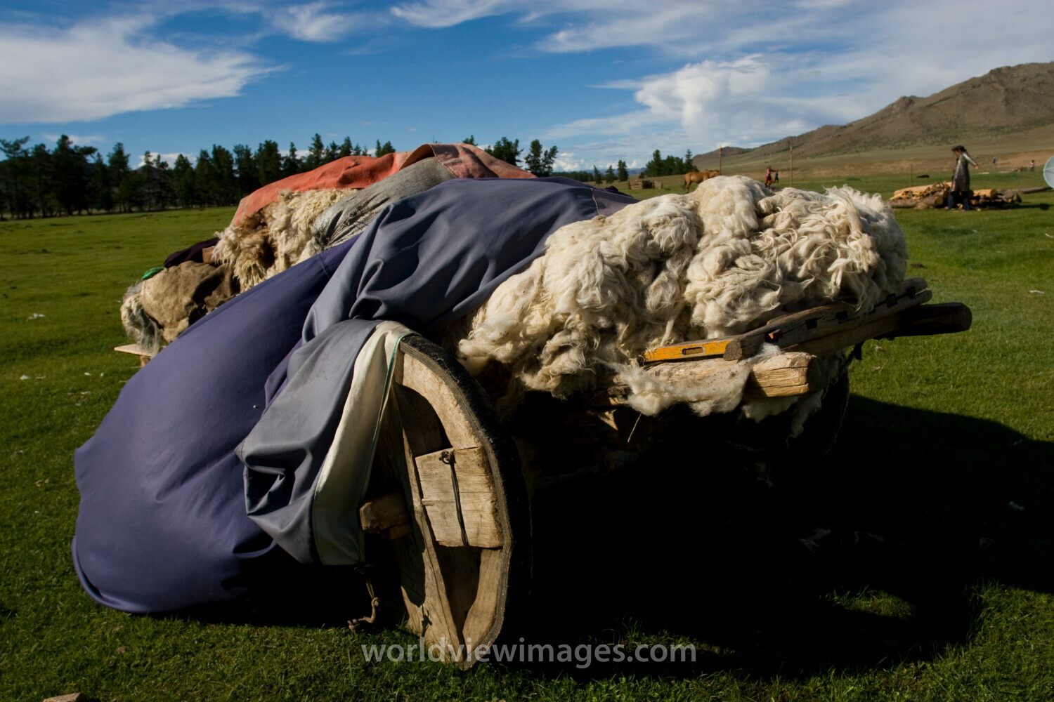 Wool Cart in Mongolia