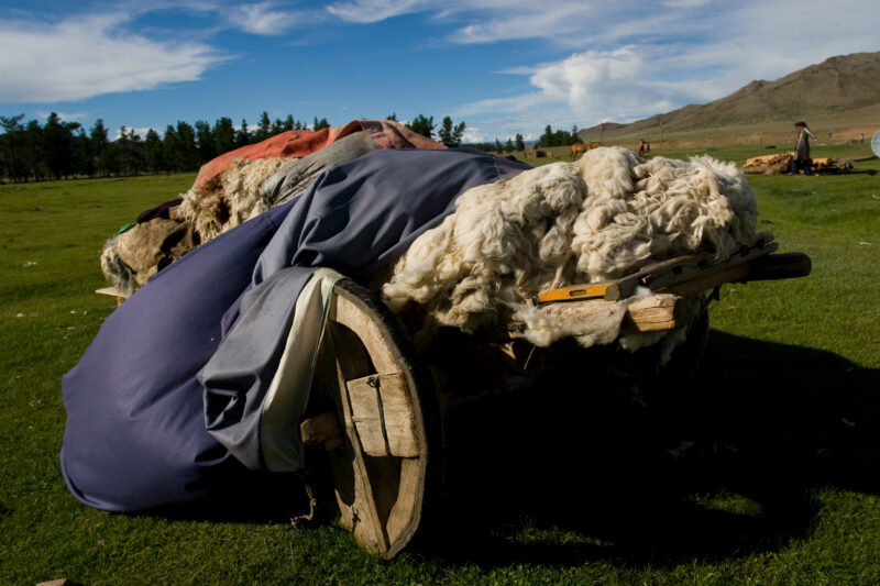 Wool Cart in Mongolia — Wooden cart full of wool in Mongolia, waits for the wool merchant to stop by and offer price for wool. — Mongolia, cart, wool, ger, gers