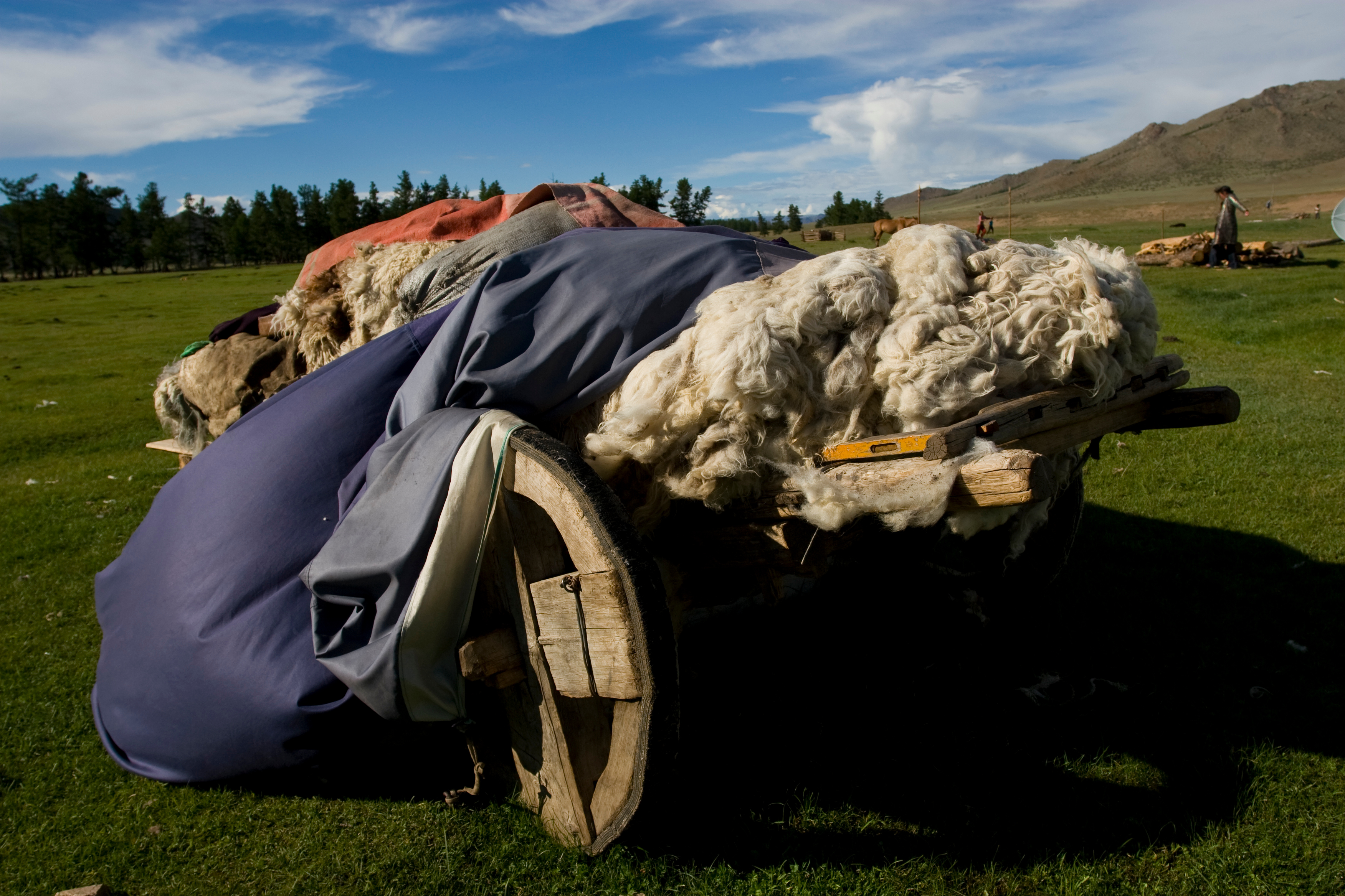 Wool Cart in Mongolia