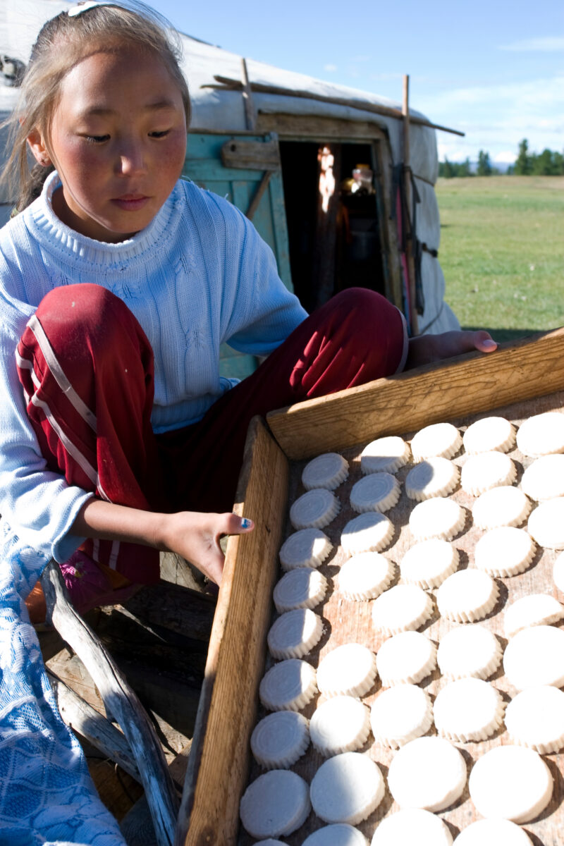 Girl in Mongolia — Gril shows off milk cakes that have been drying in the sun — Mongolia, girl, girls, cakes, milk products