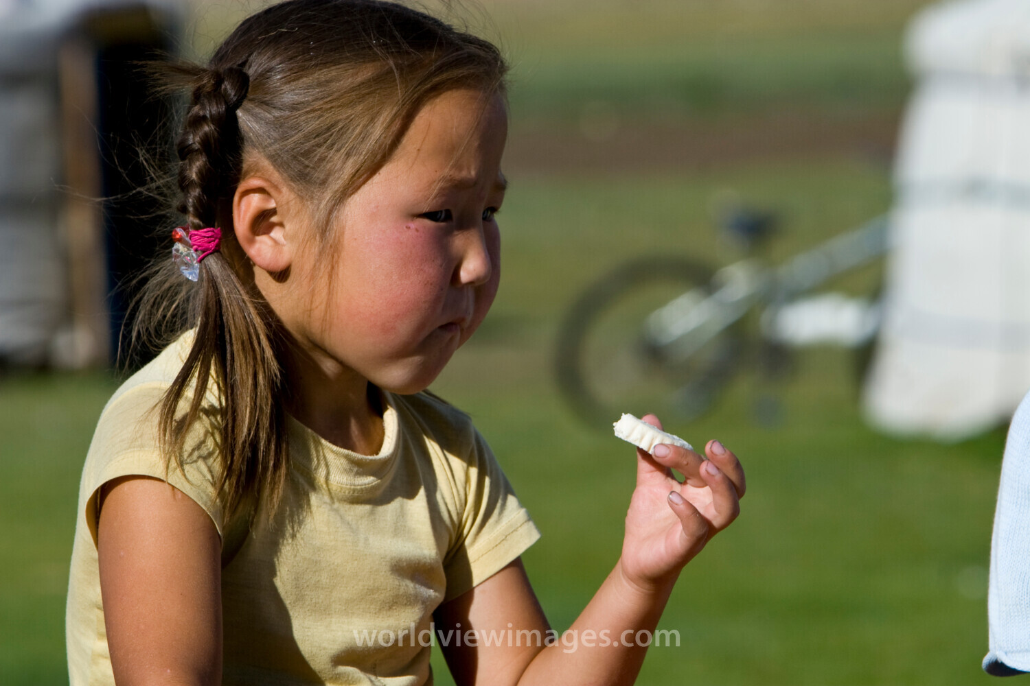 Girl Eats Milk Cake in Mongolia