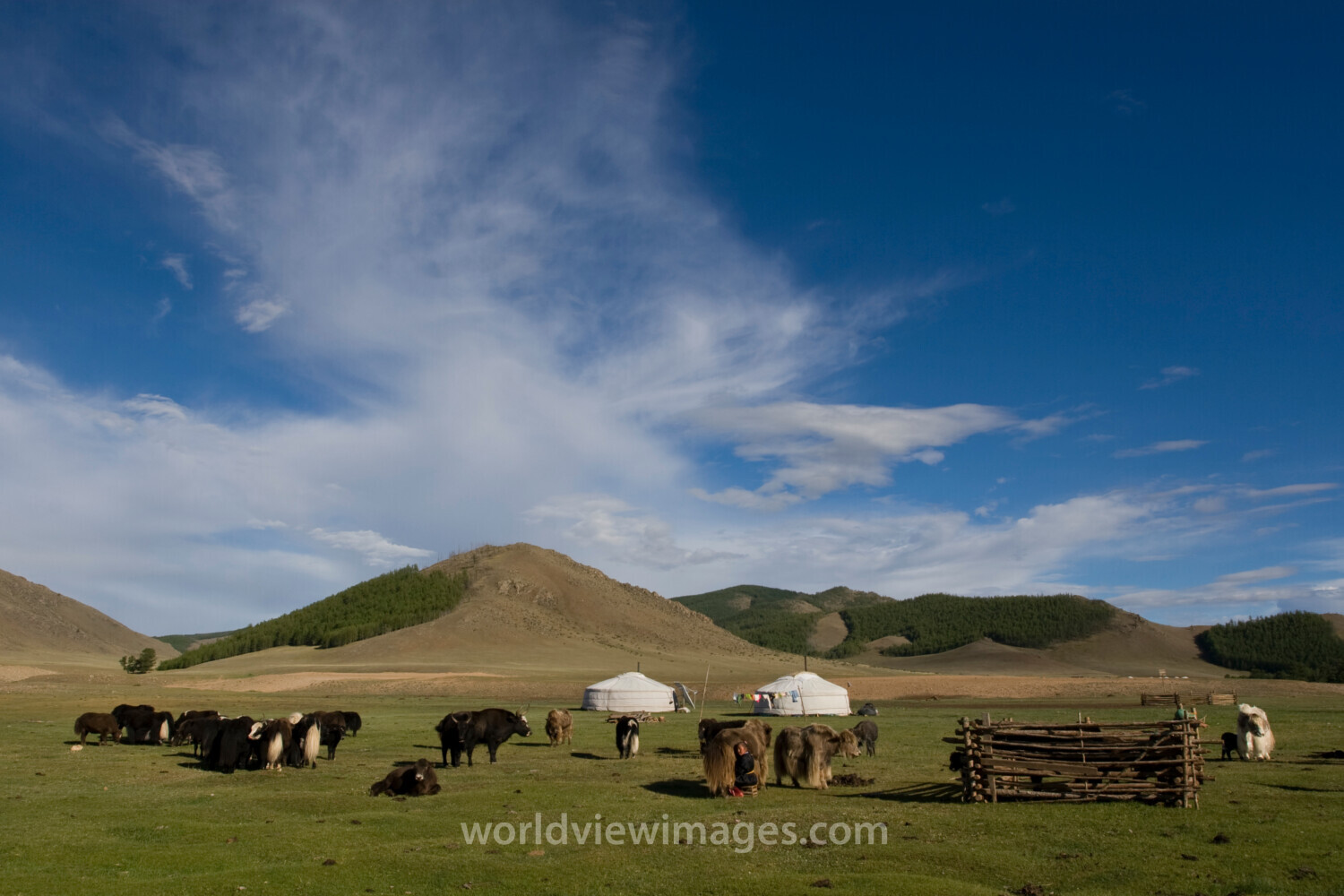 Steppes of Mongolia