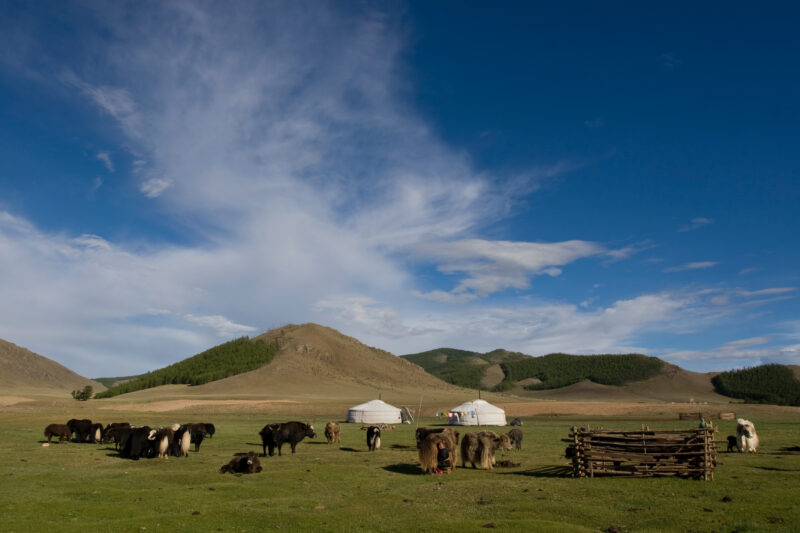 Steppes of Mongolia — Mongolia, Steps, steppes, pasture, hills