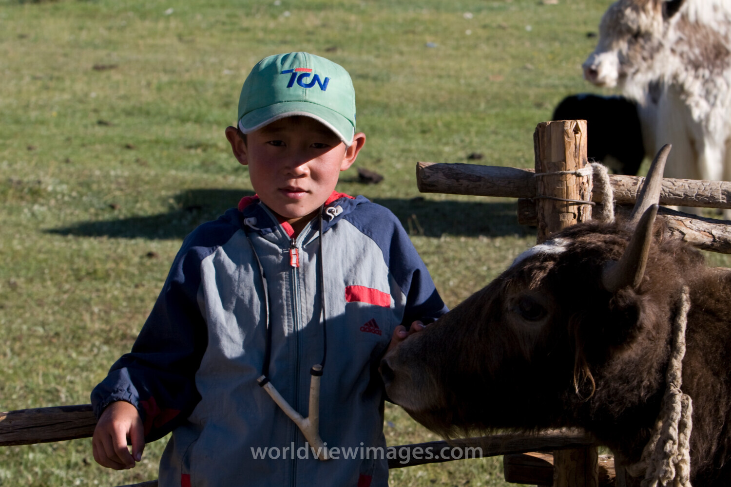 Boy in Mongolia
