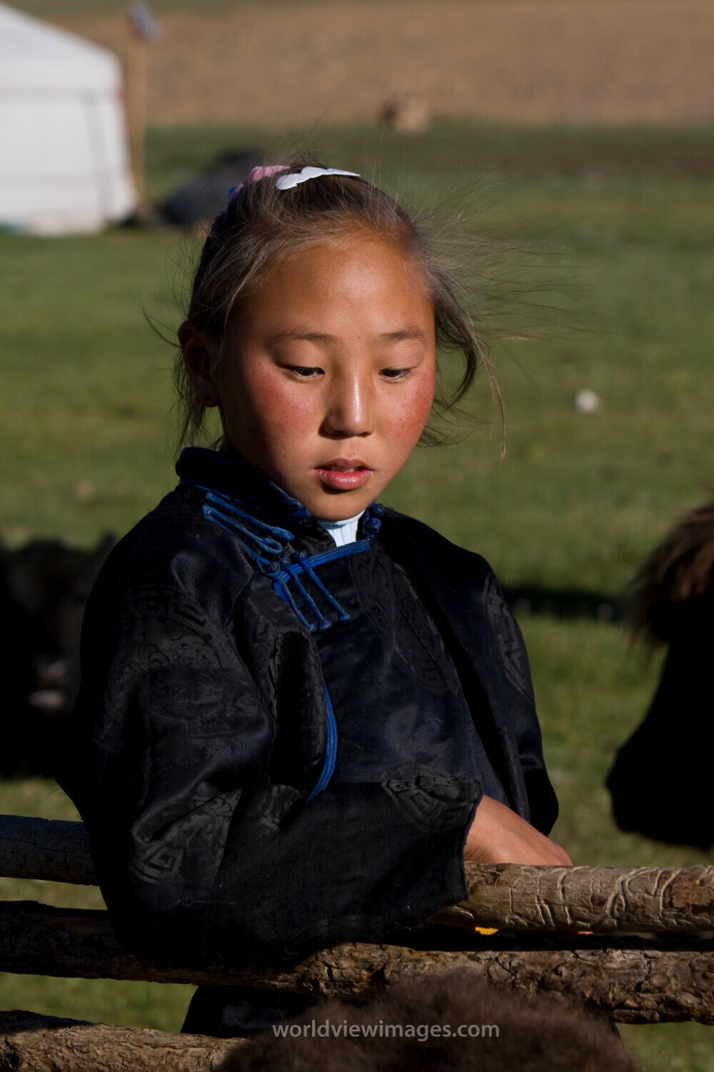 Girl in Mongolia