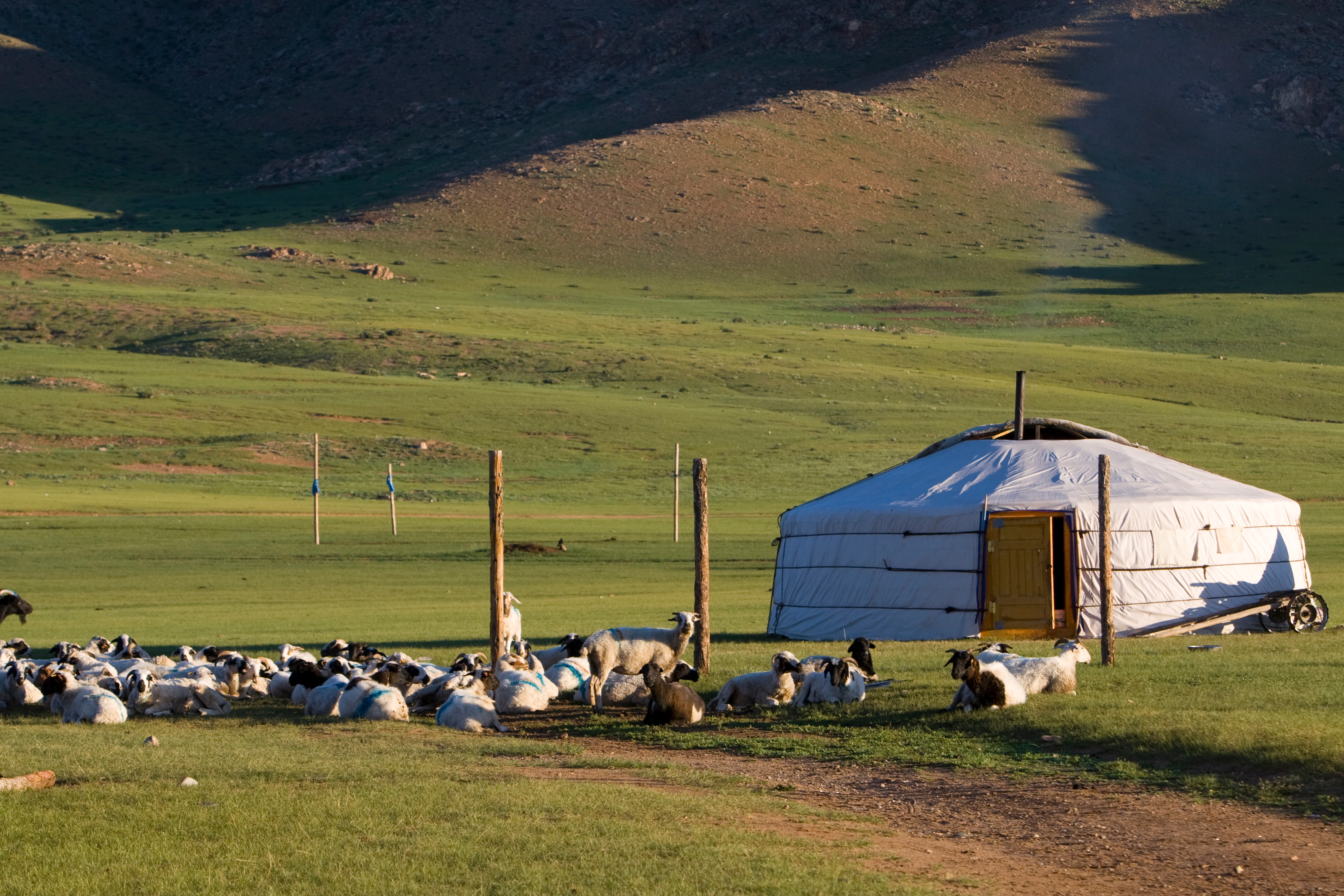 Ger in Mongolia
