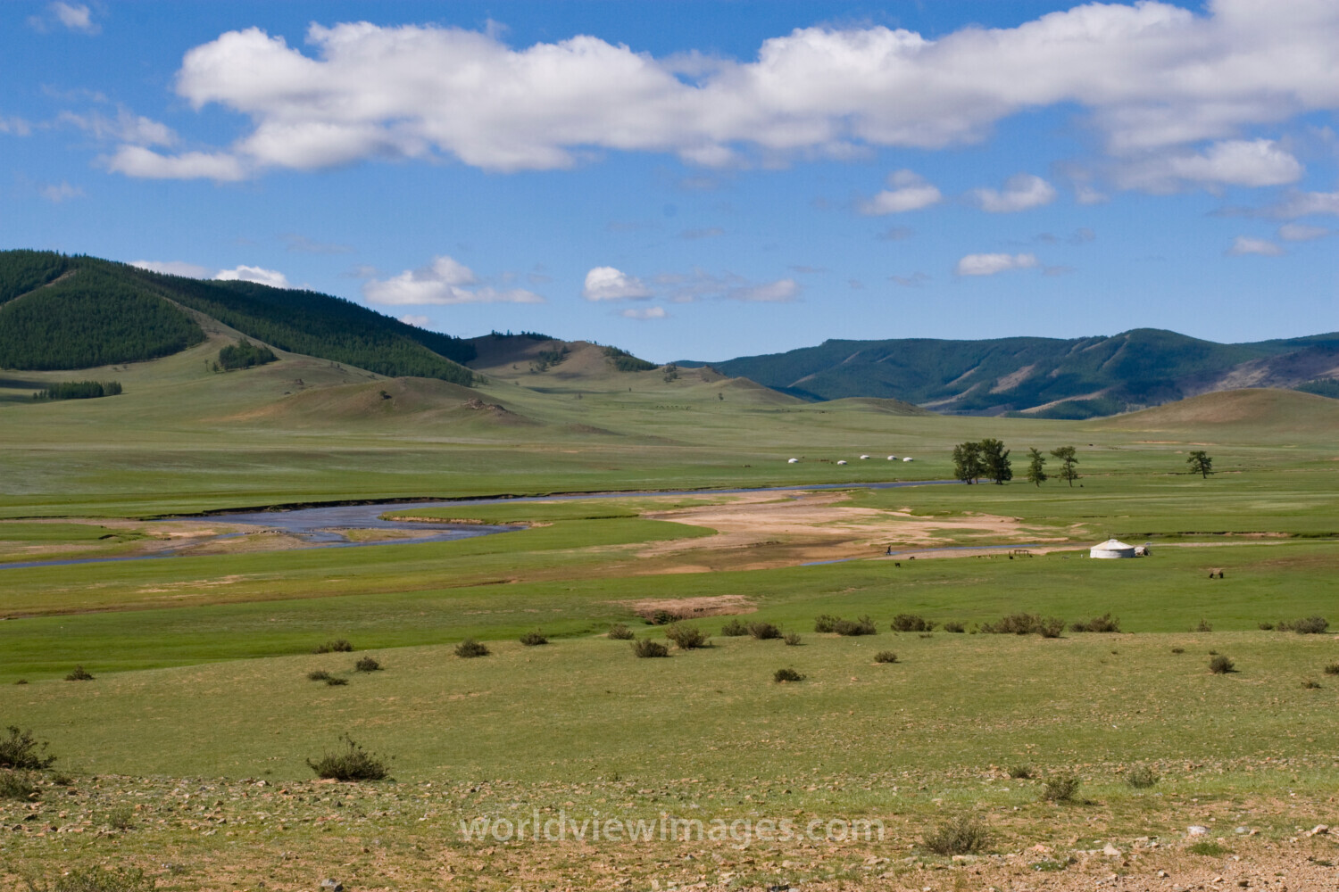 Steppes of Mongolia