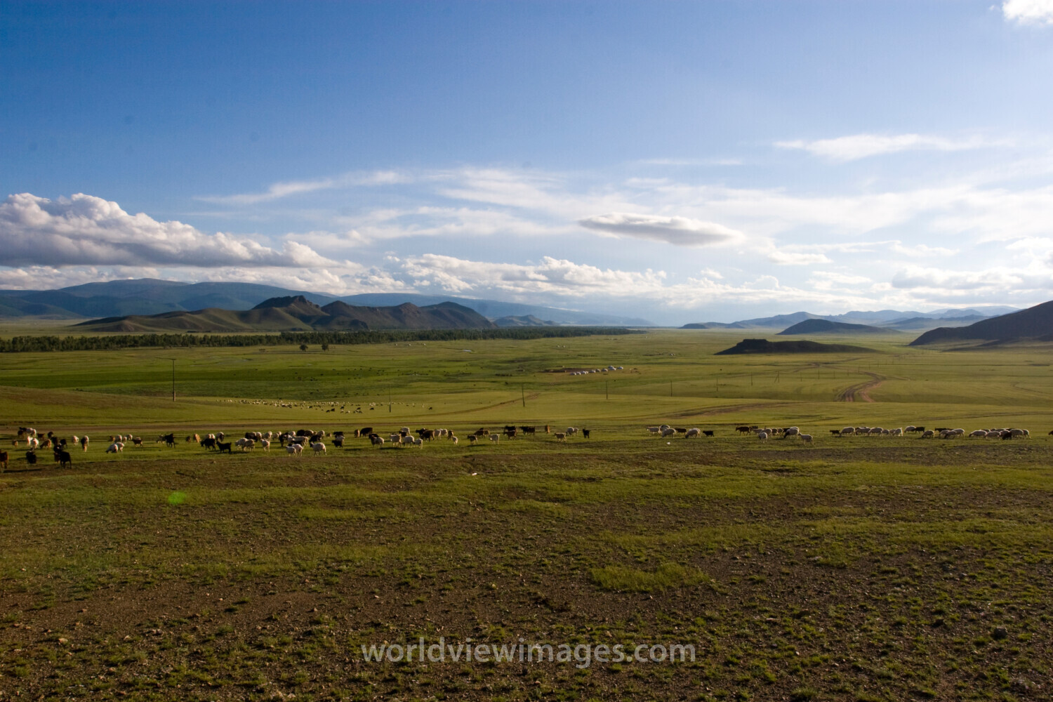 Steppes of Mongolia