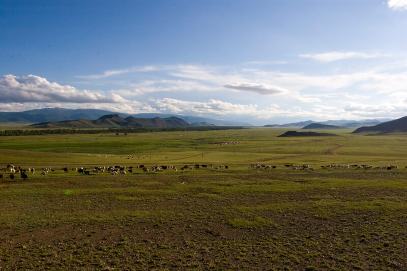 Steppes of Mongolia — Mongolia, Steps, steppes, pasture, hills