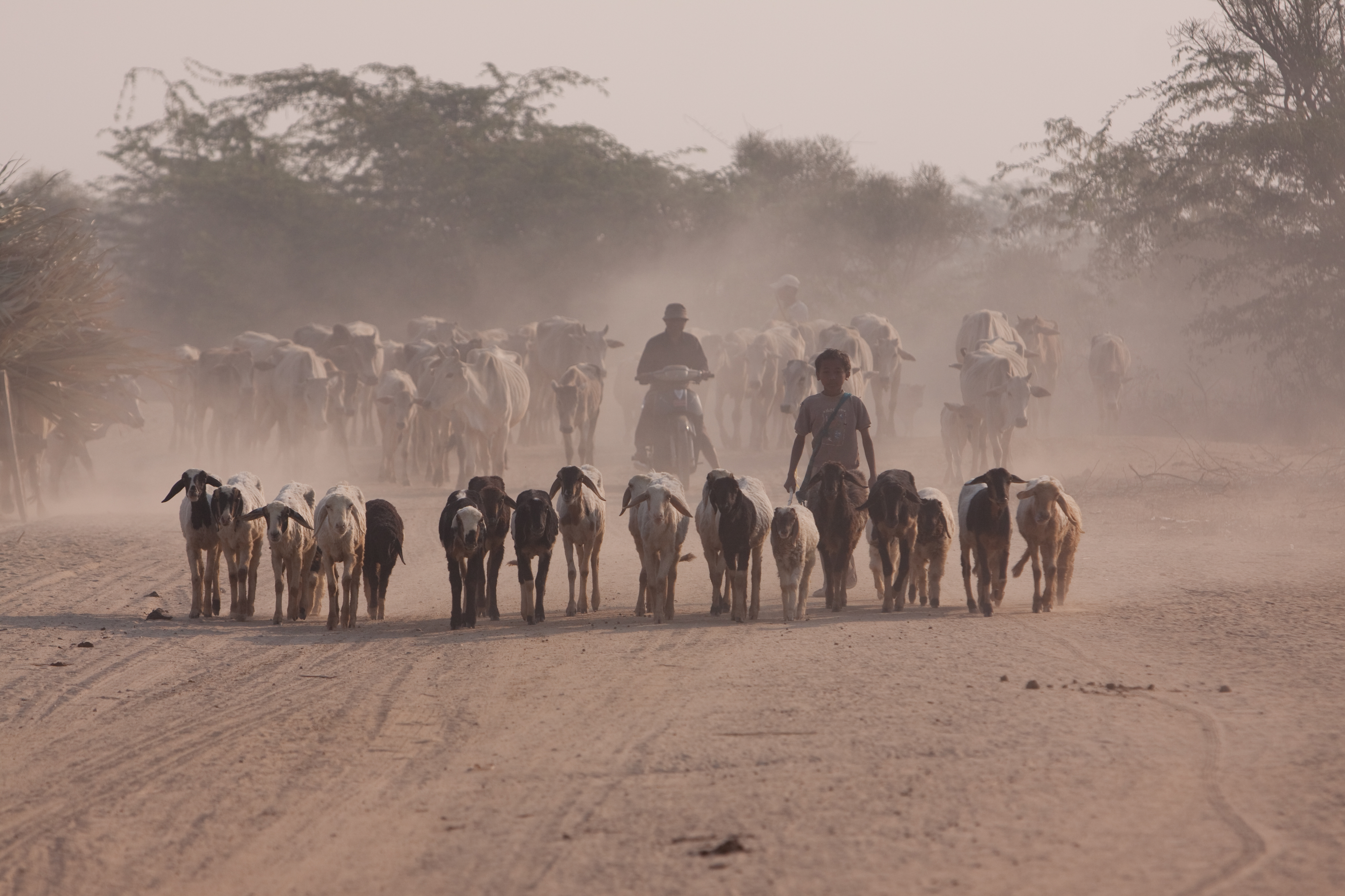 Dusty Road in Burma
