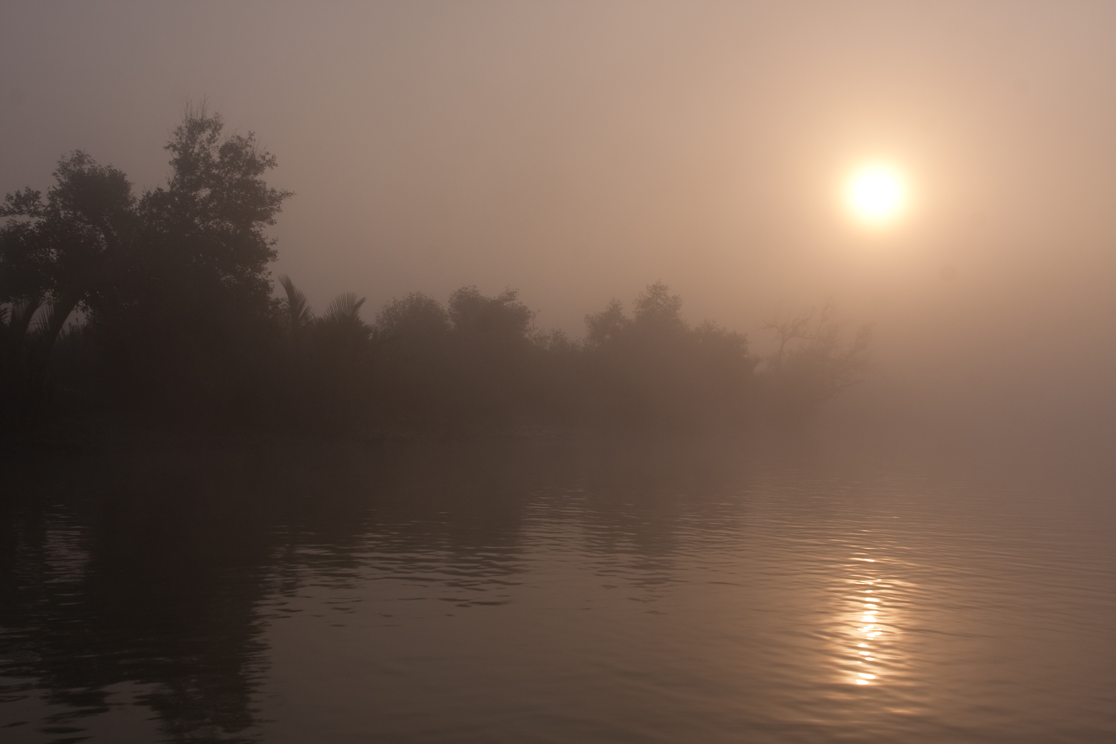 Sunrise in the Irrawady Delta