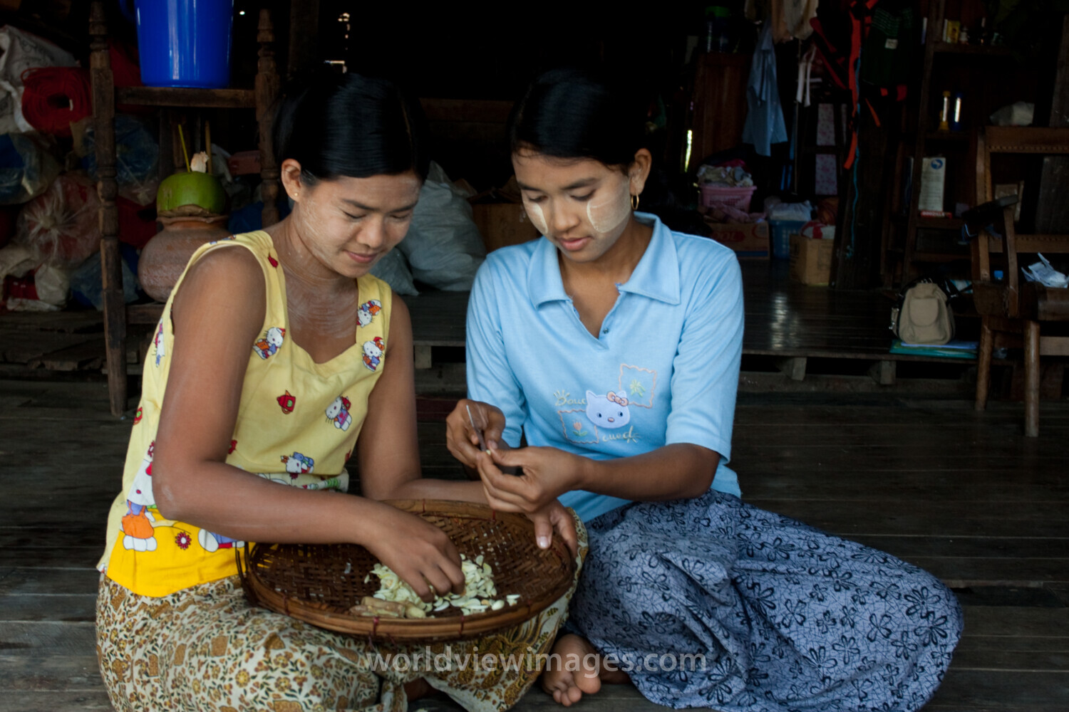 Preparing Garlic Cloves in Burma